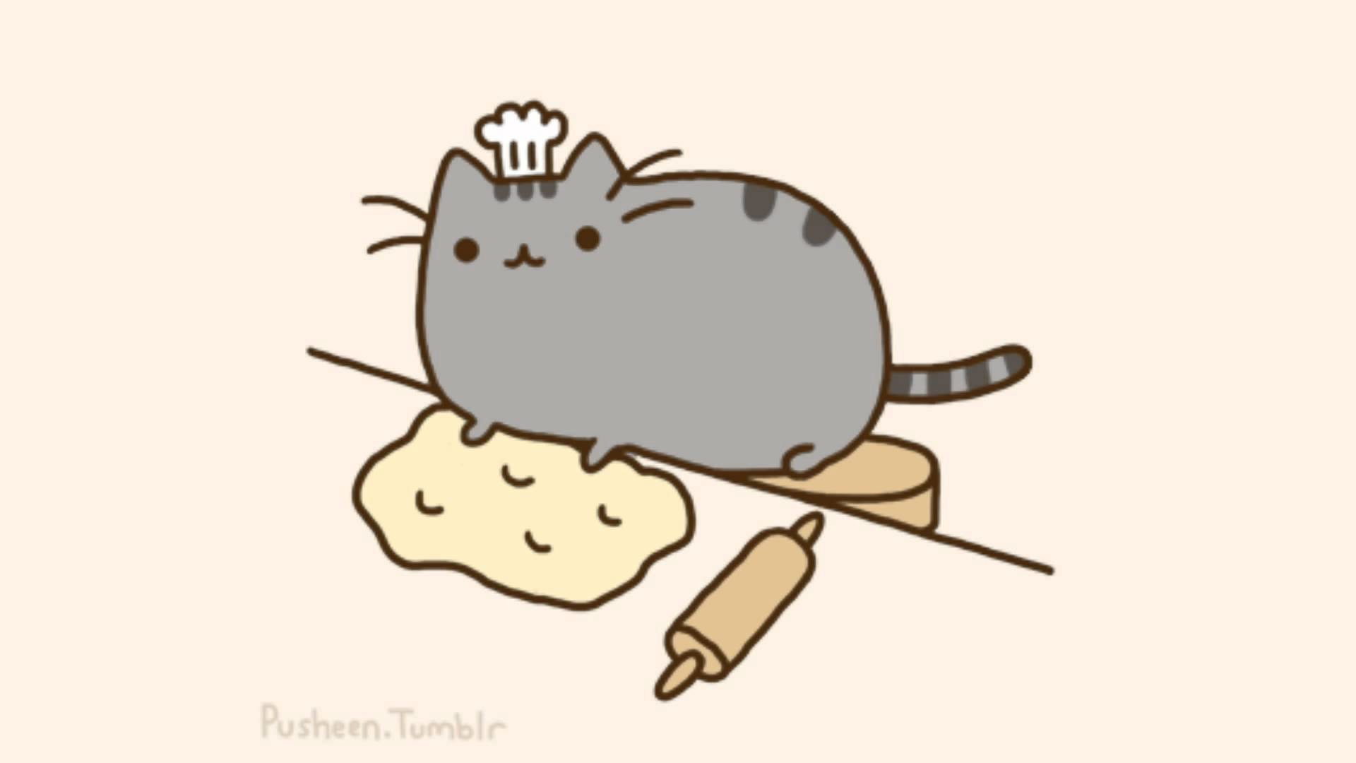 1920x1080 Go Back > Images For > Pusheen The Cat Wallpaper