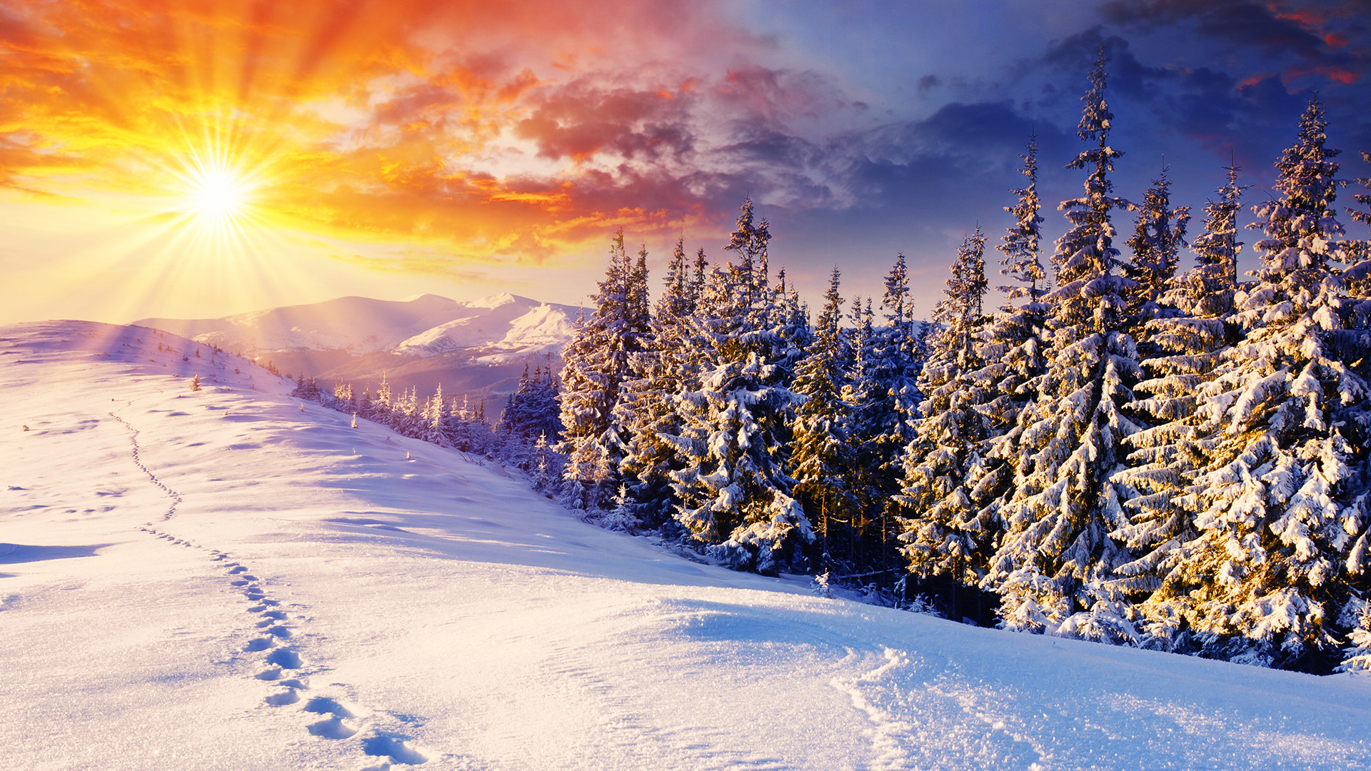1920x1080 Free Winter Background Images