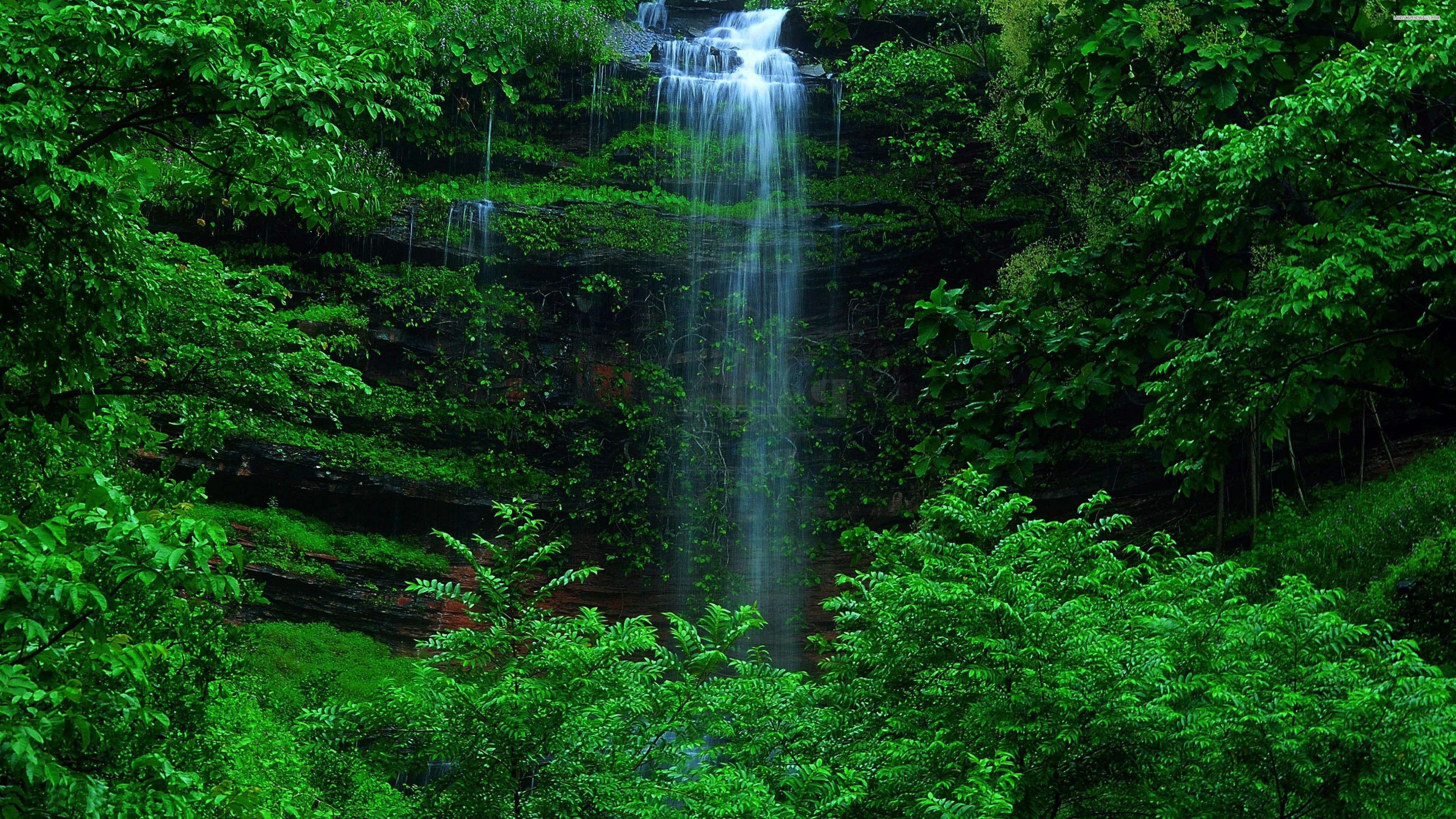3840x2160 Scenic Waterfall In The Green Forest