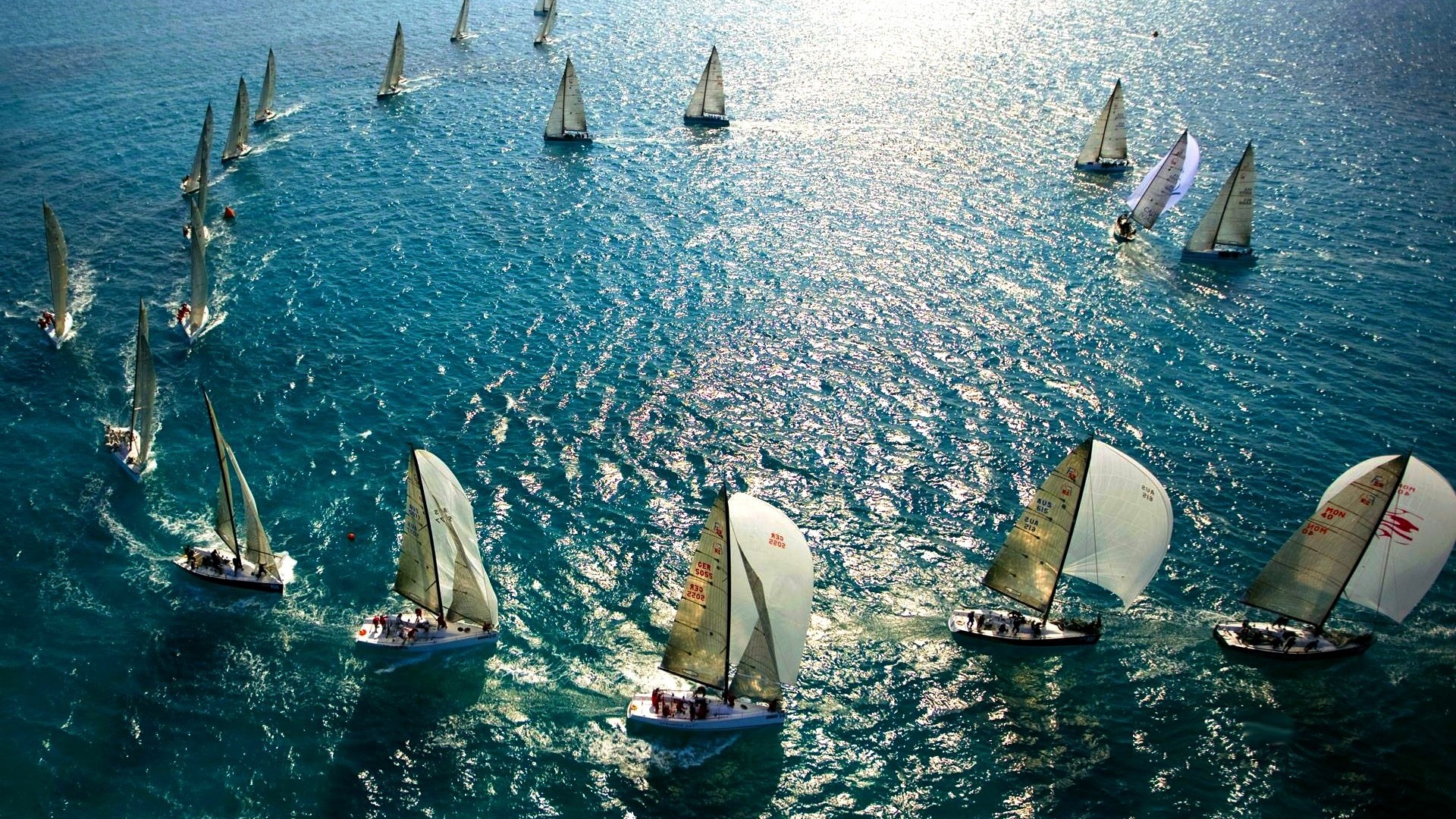 1920x1080  Wallpaper sail, sea, swimming, many