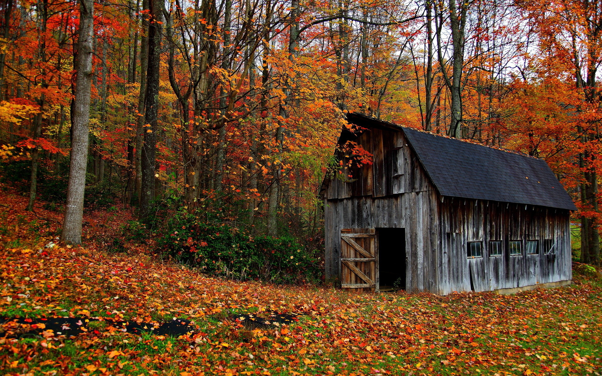 1920x1200 trees forest barn decay ruin retro autumn fall leaves rustic wallpaper .