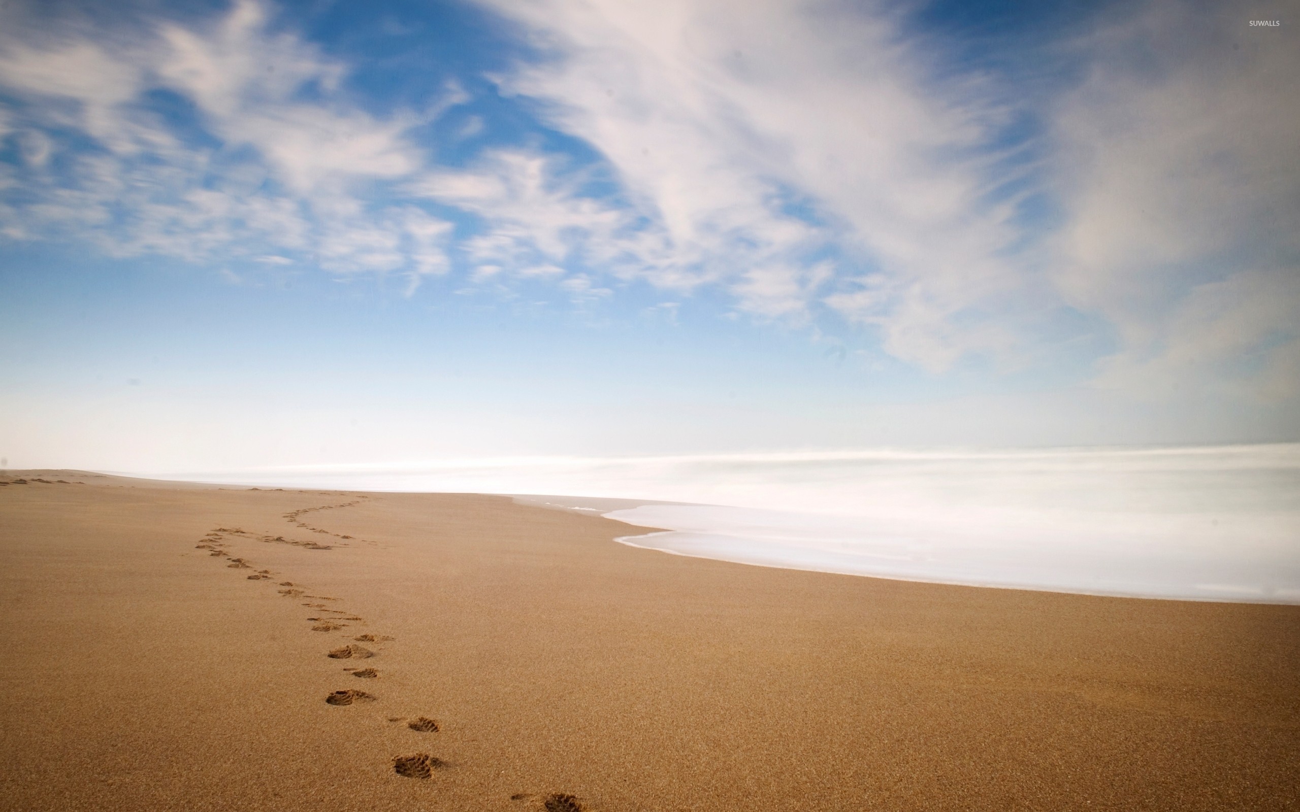 2560x1600 Footsteps on a sandy beach wallpaper