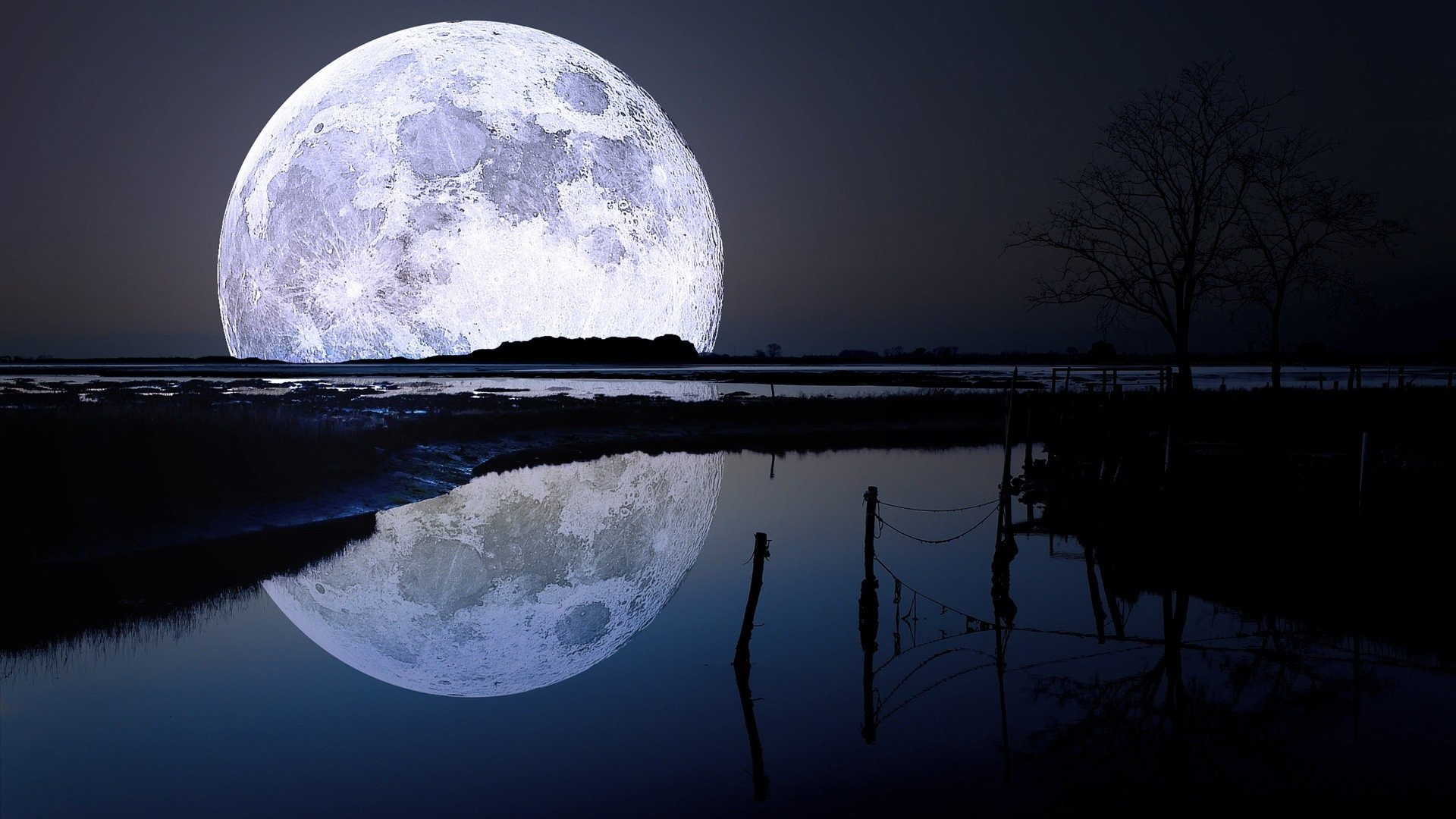1920x1080 Landscapes Lakes Trees Night Moon Moonlight Nature