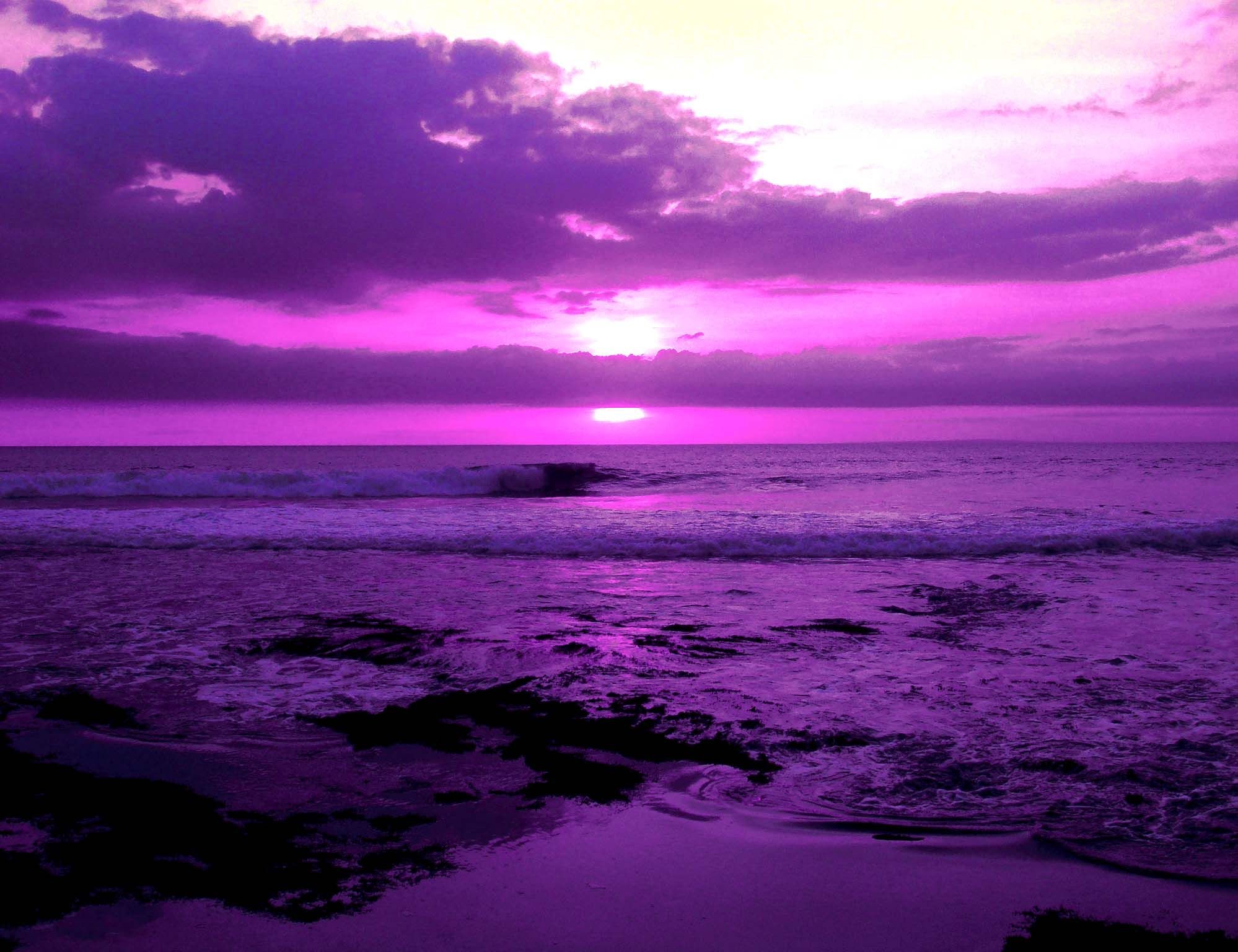 1998x1536 Color Inspiration: Purple!