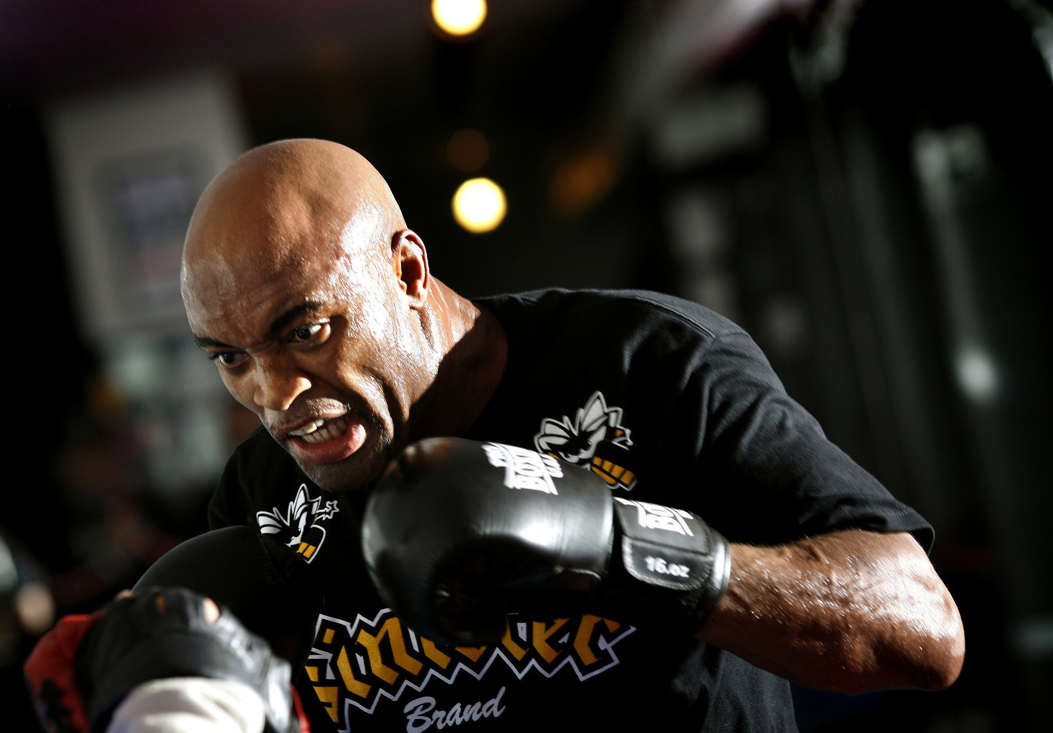 2048x1427 Stunning Hd Wallpapers Of Anderson Silva