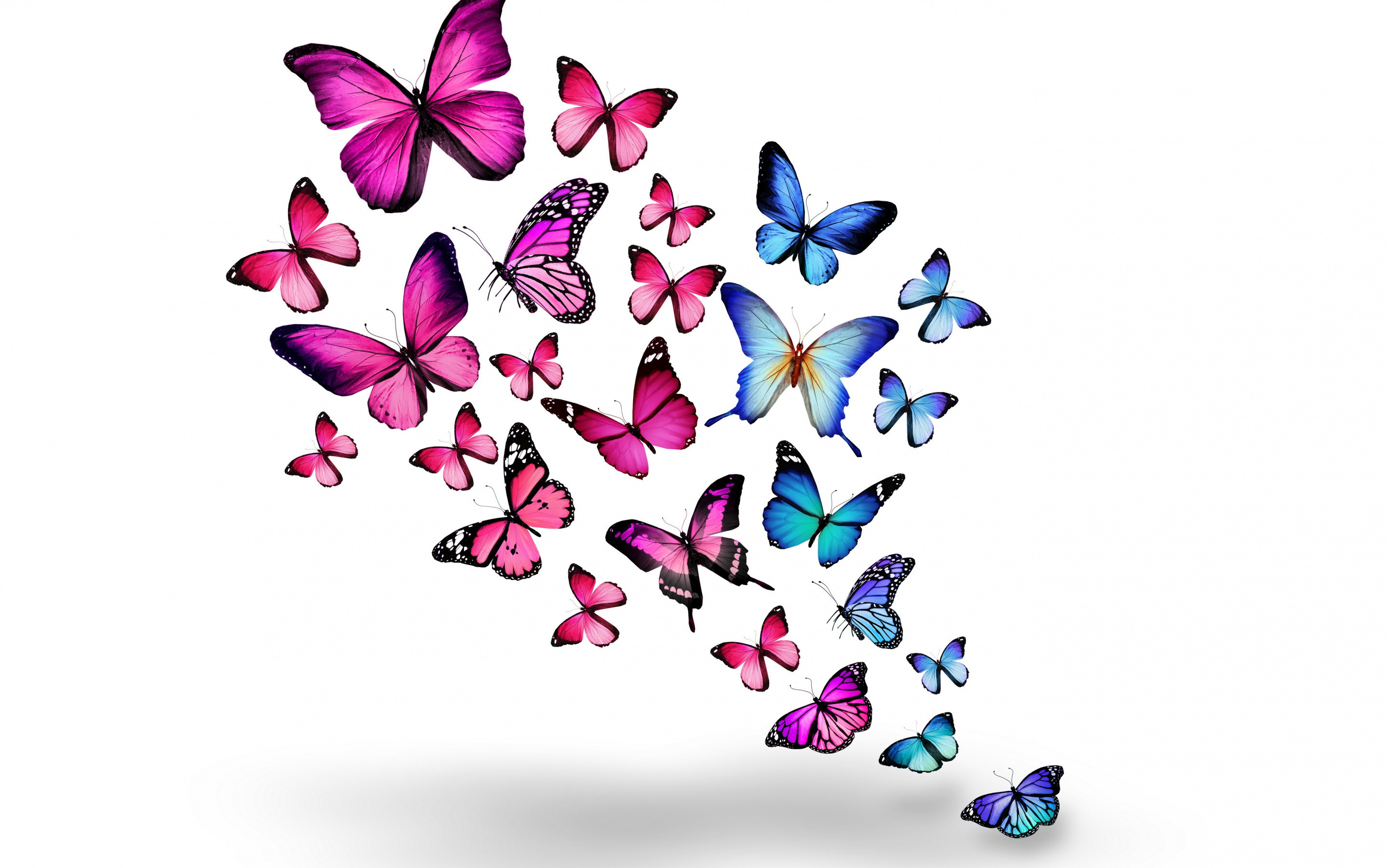 2880x1800 Pollinator, Purple, Butterfly, Design, Moths and Butterflies Wallpaper in   Resolution