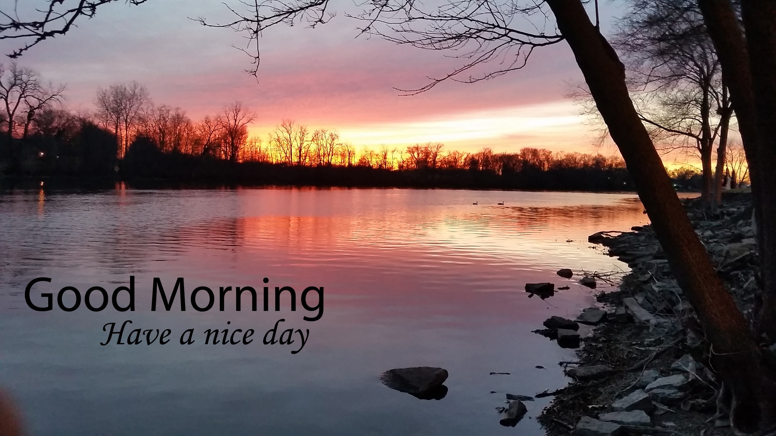 2560x1440 Beautiful sunrise in lake good morning wallpaper