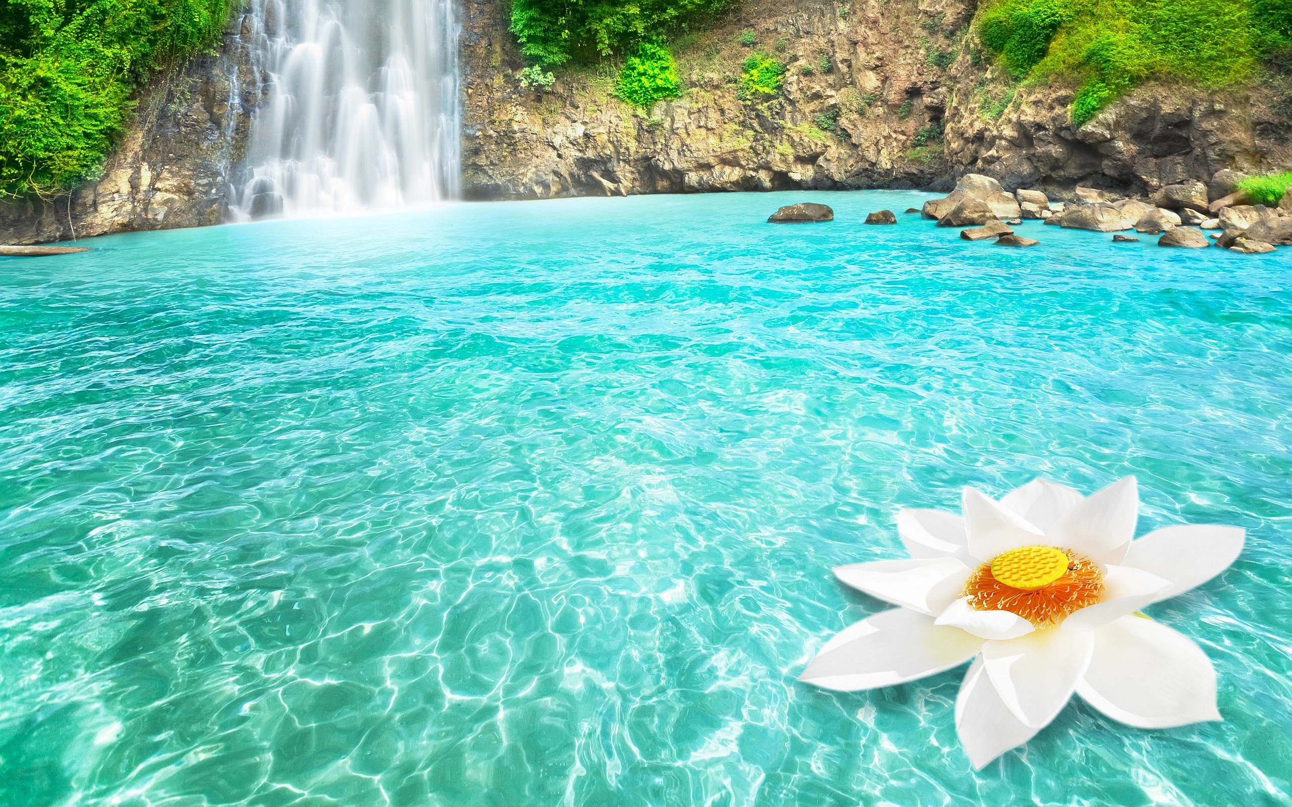 2560x1600 Flower And Waterfall Wallpaper