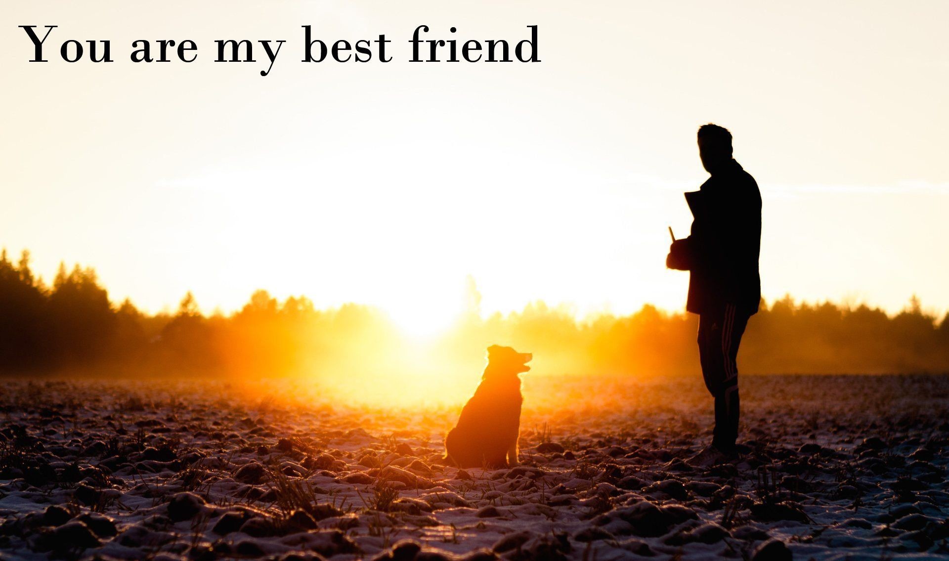 1920x1135 Free-Download-Best-Friend-Backgrounds