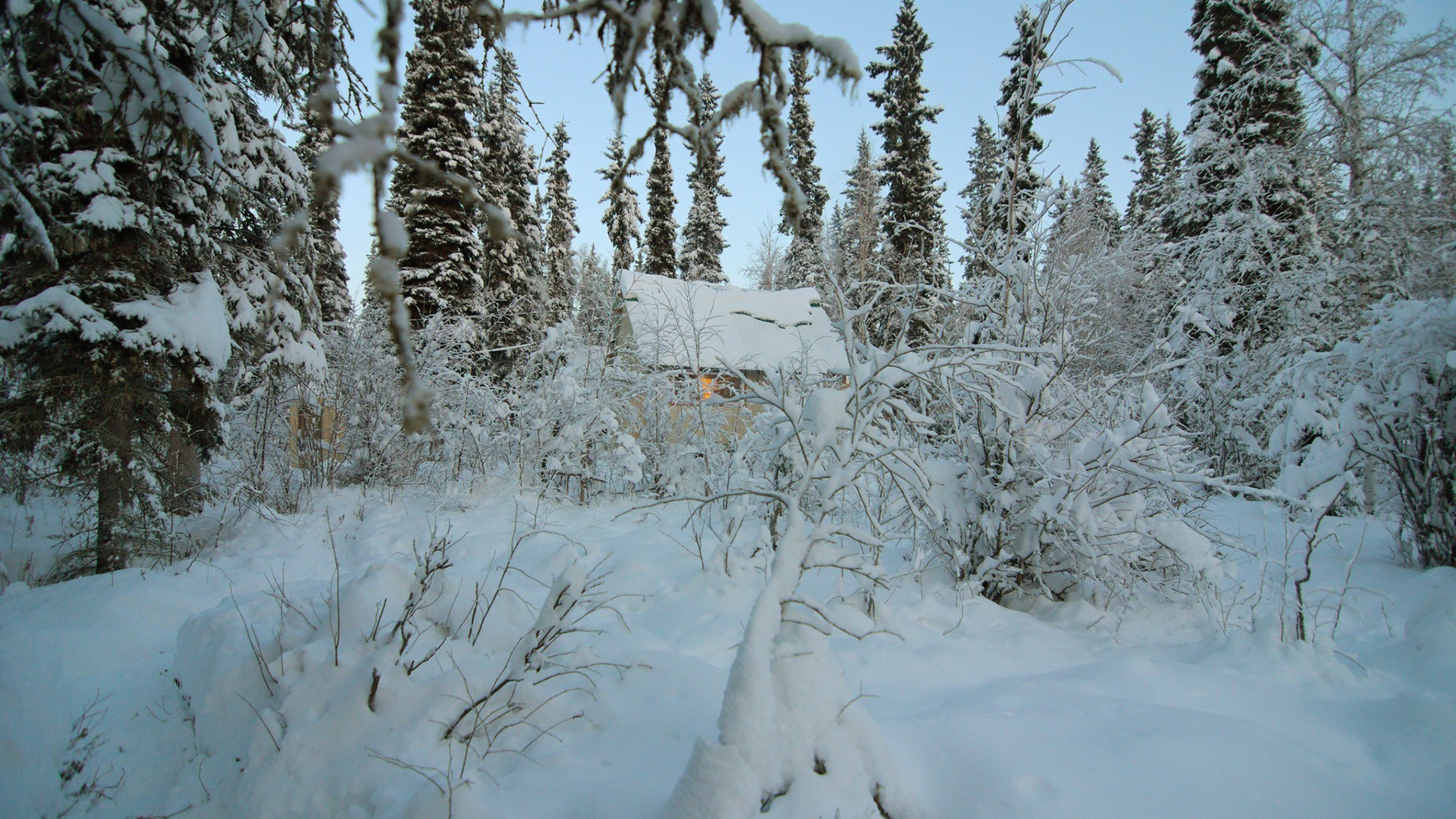 1920x1080 Winter - Hidden Cabin Winter Cabins Nature Trees Snow Full HD Wallpaper for  HD 16: