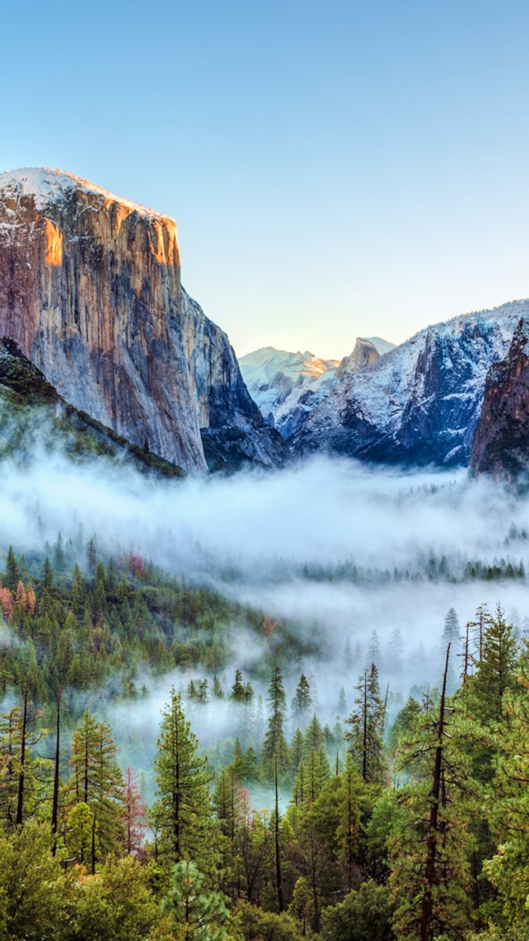 2160x3840  Wallpaper usa, yosemite national park, california, mountains,  fog, trees