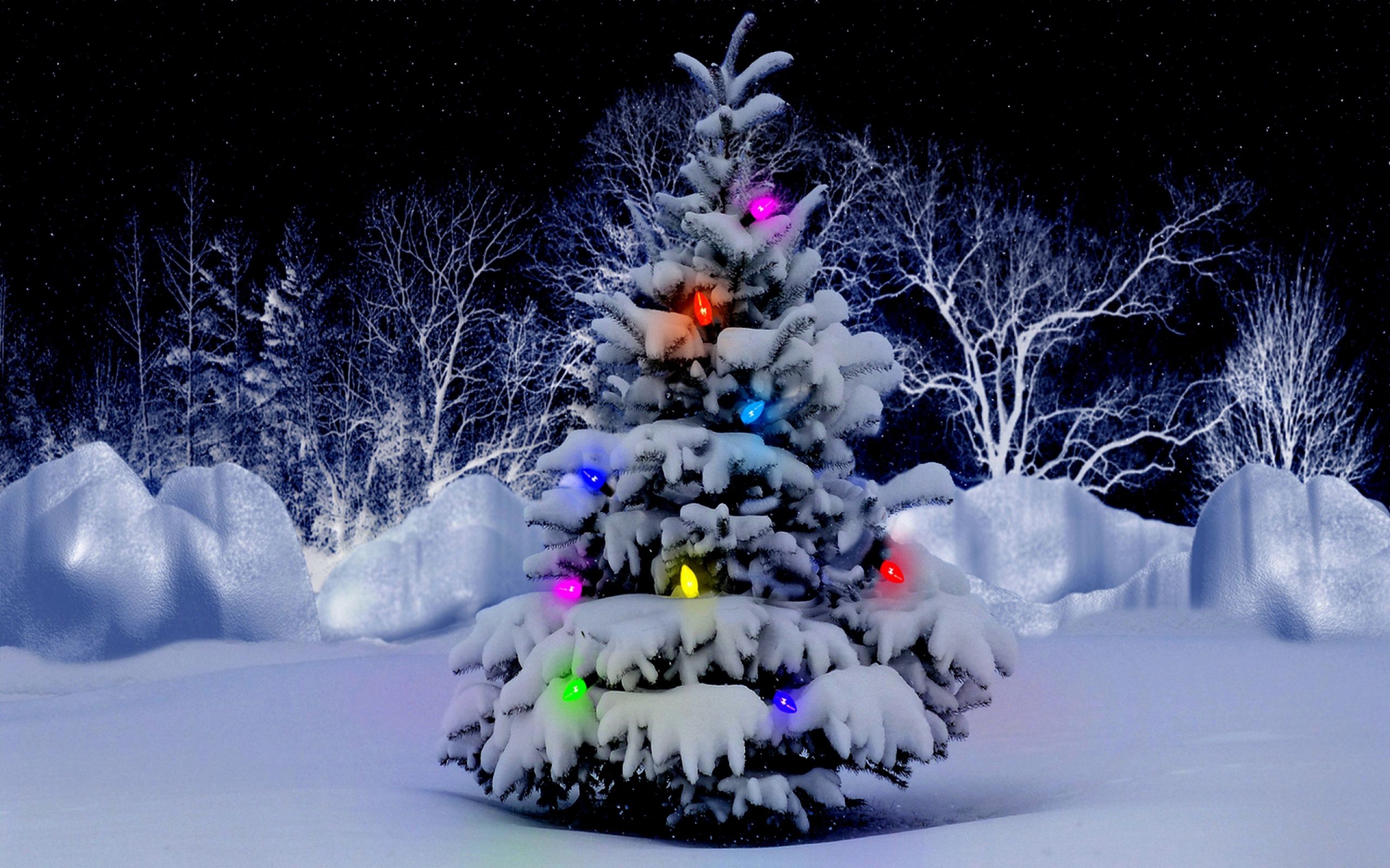 2560x1600 Beautiful Christmas Tree Snow