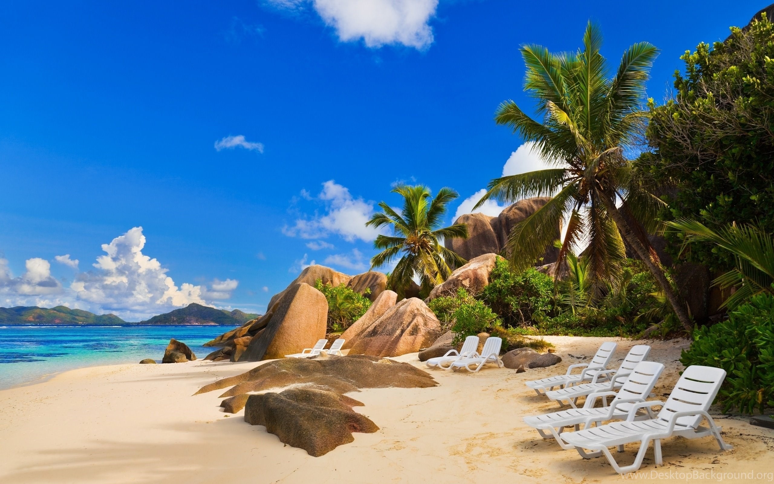 2560x1600 Tropical Beach, Chair, Sea, Sand, Palm Tree, Beaches,  HD