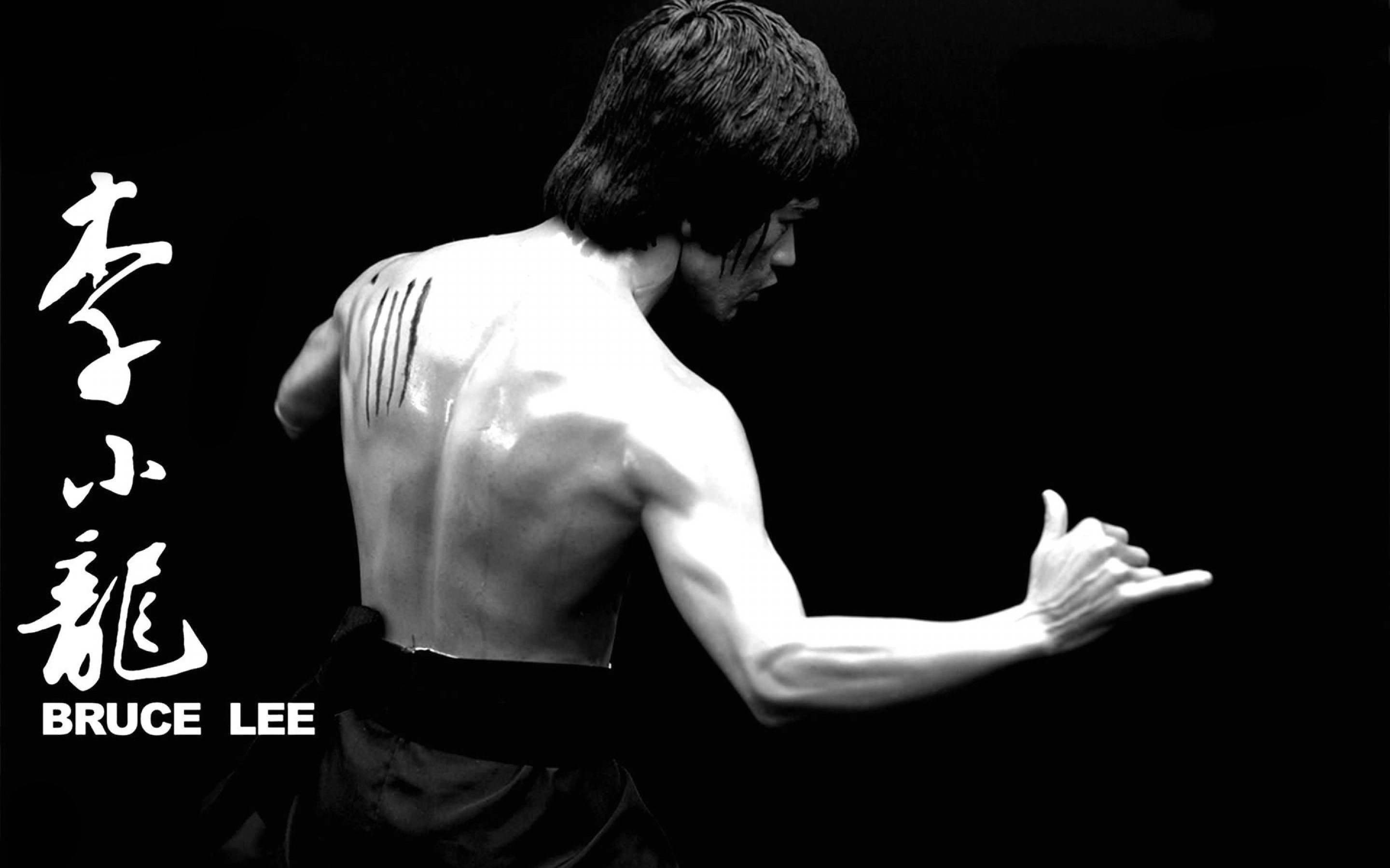 2880x1800 Bruce Lee HD Wallpaper for Android Free Download on MoboMarket