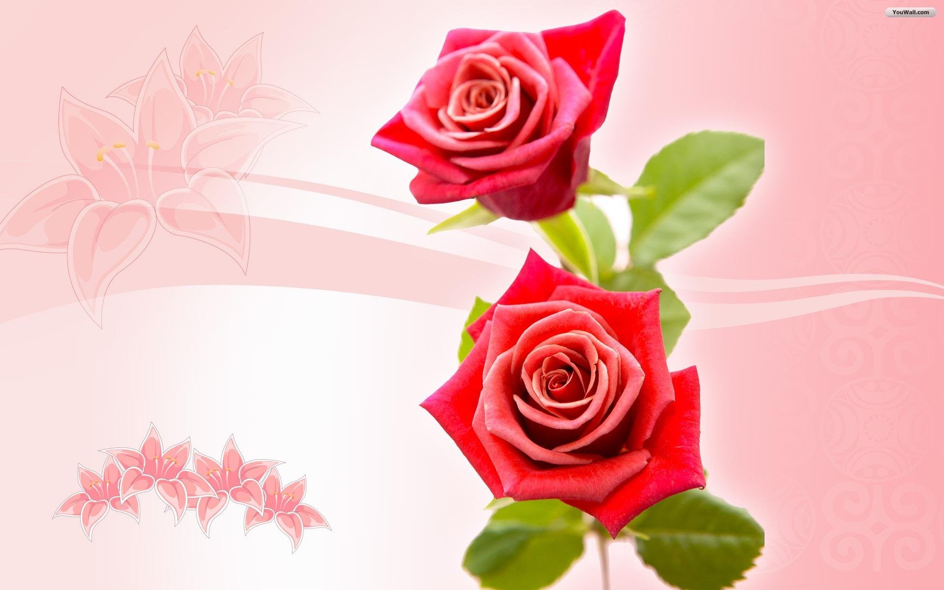 1920x1200 Background Roses Wallpaper