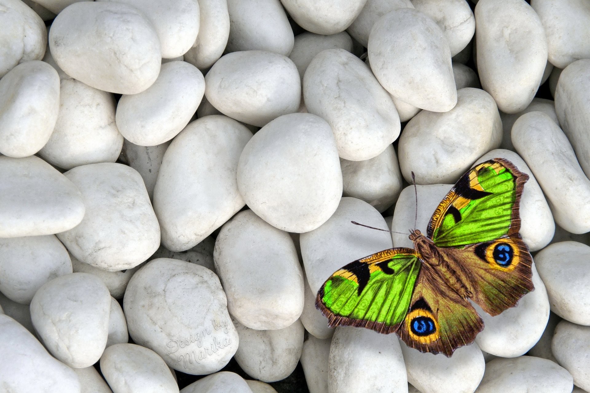 1920x1280 butterfly white stones colorful design by marika butterfly stones