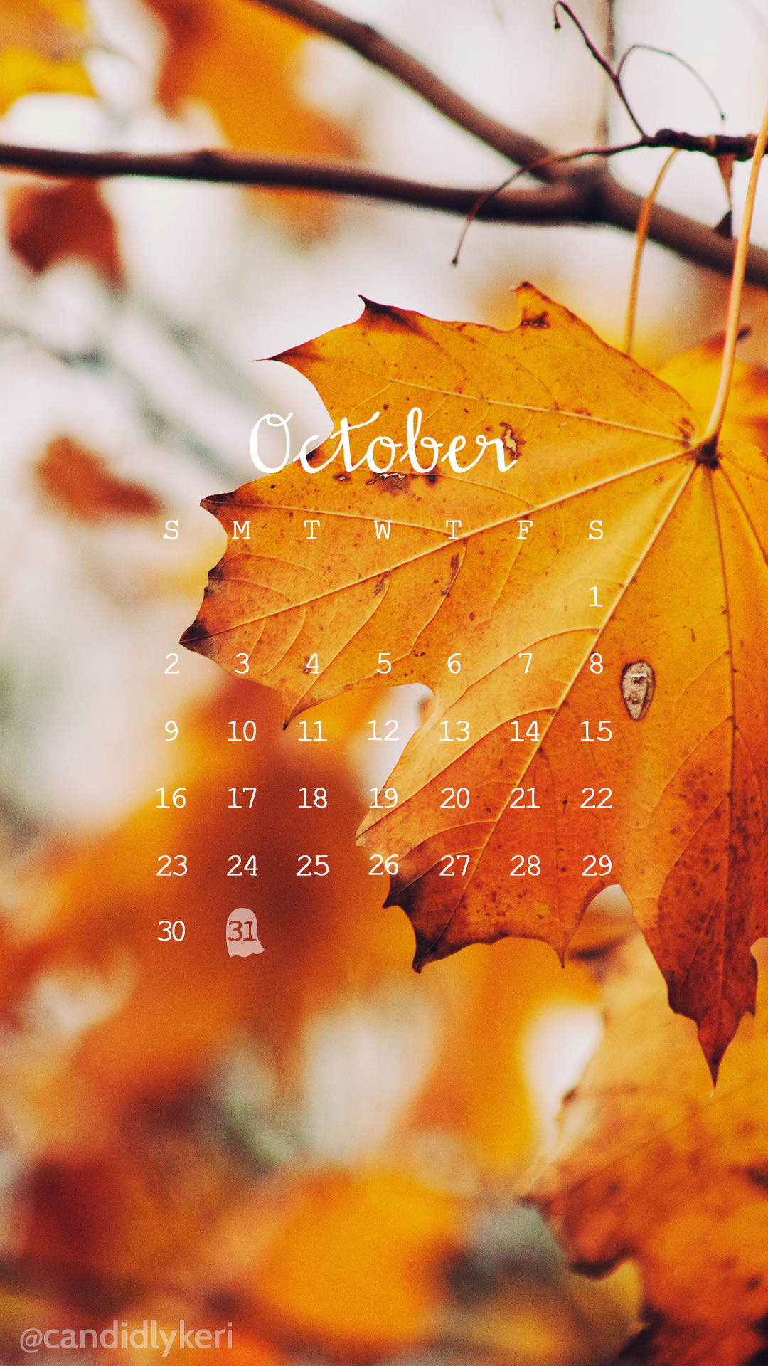 1080x1920 Fall leaves photo October calendar 2016 wallpaper you can download for free  on the blog!