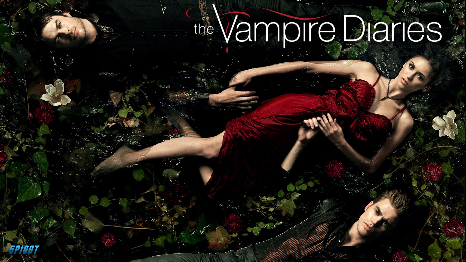 1920x1080 The Vampire Diaries. I ...