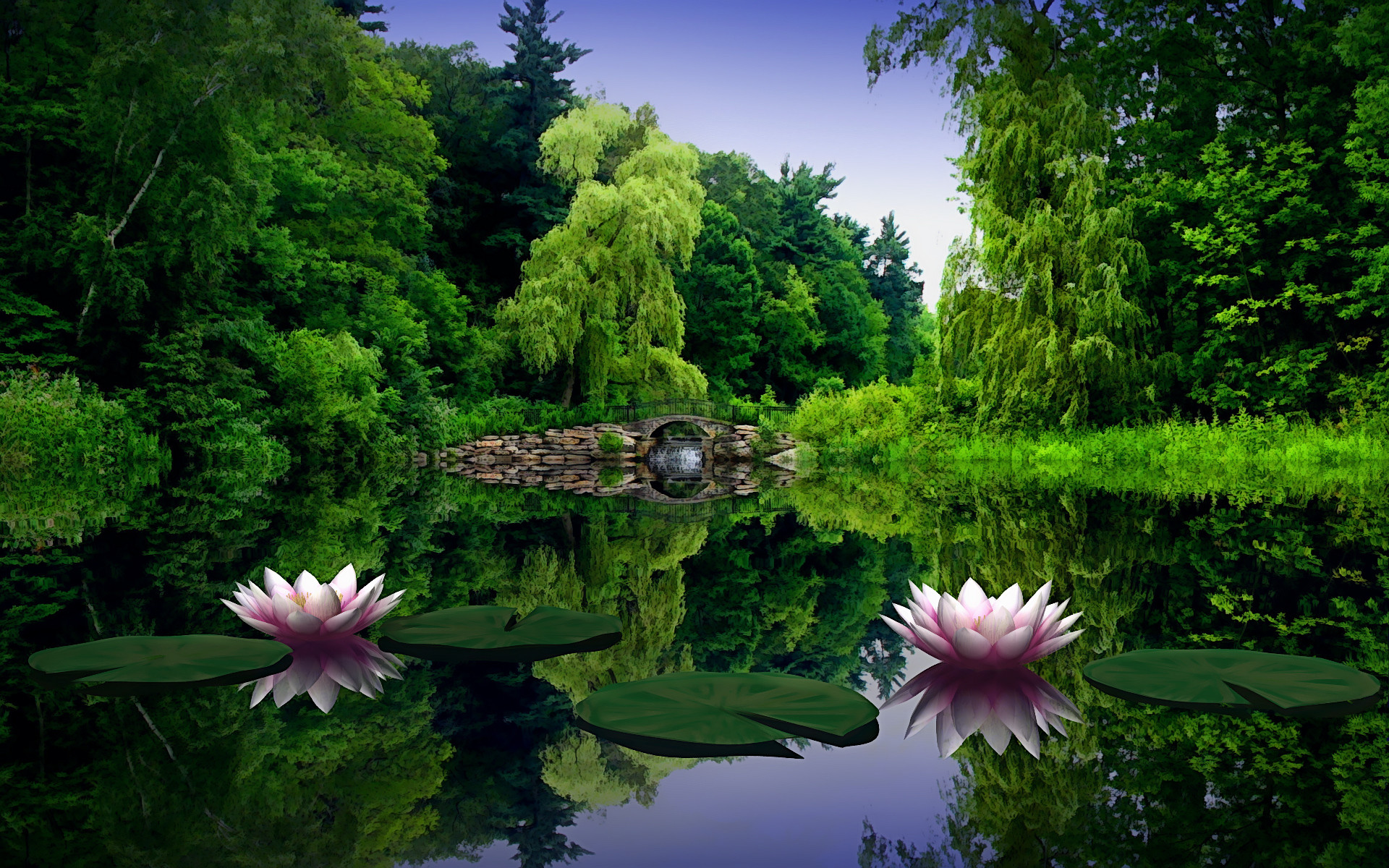 1920x1200 Lotus Flower Pond