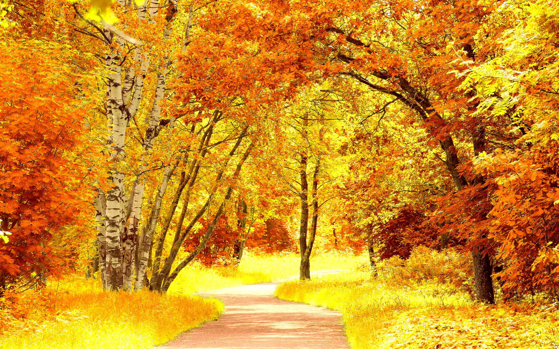 1920x1200 Autumn Scenery HD Desktop Wallpaper, Background Image
