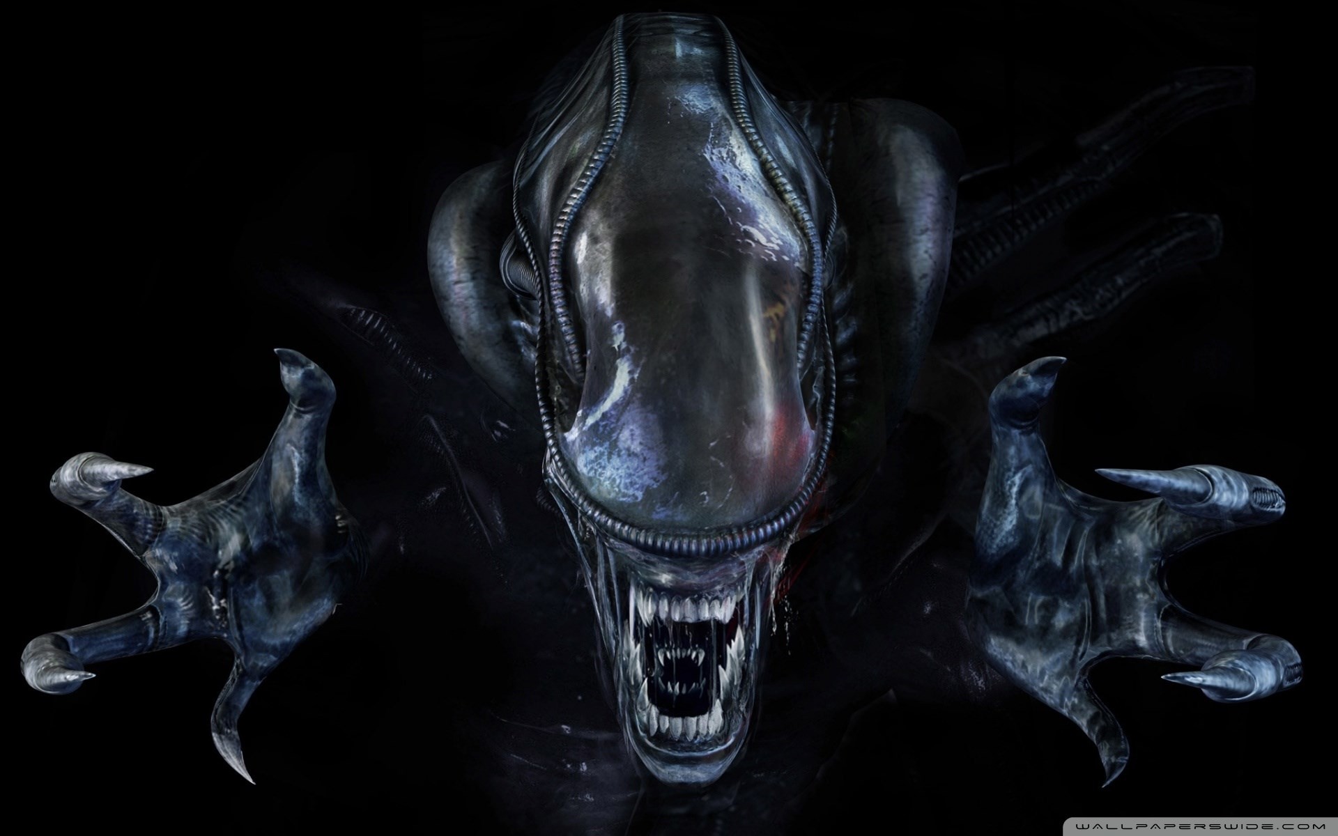 1920x1200 aliens colonial marines background wallpaper free,  (228 kB)
