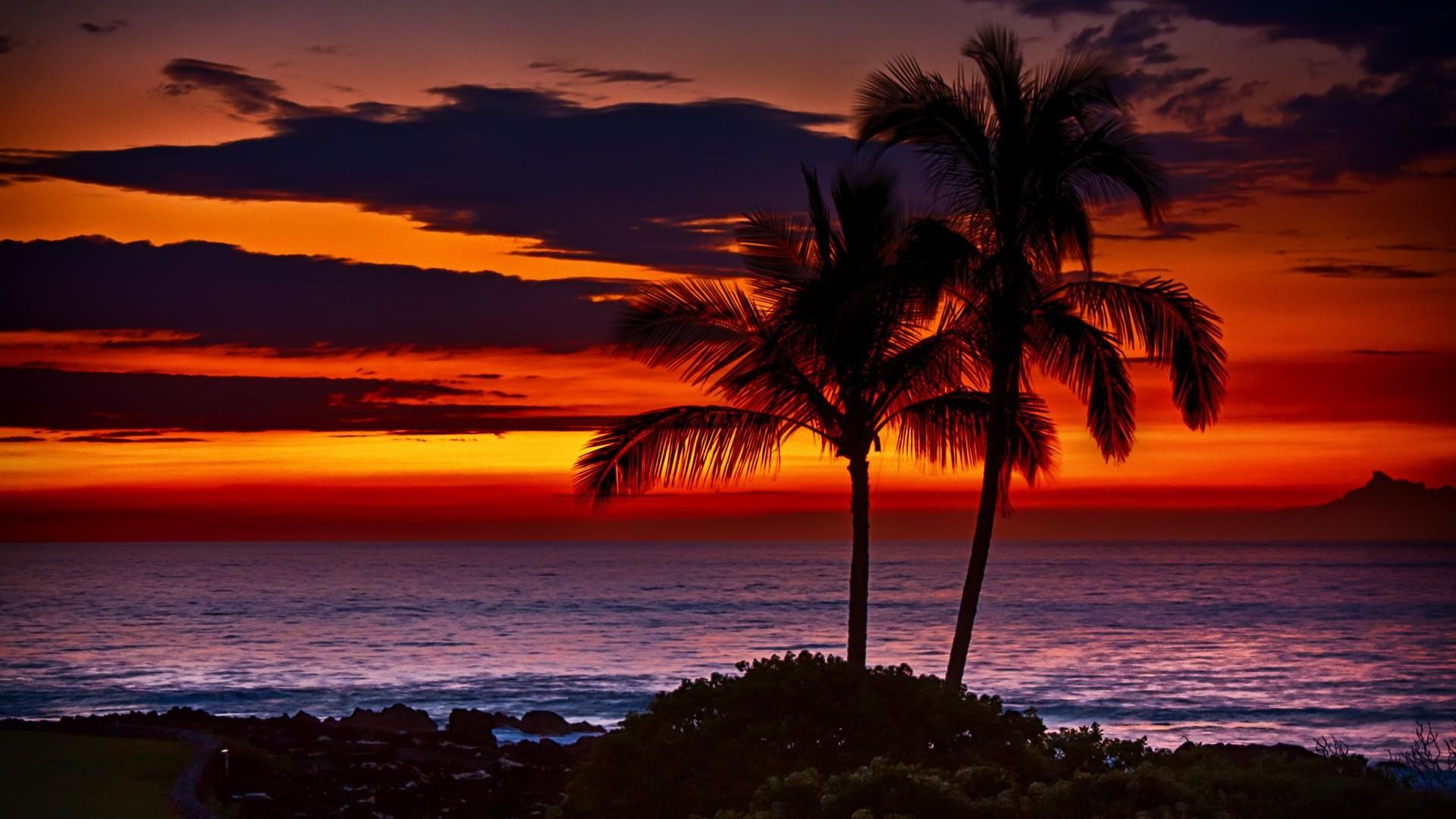 1920x1080 px Impressive Tropical Sunset | #506304