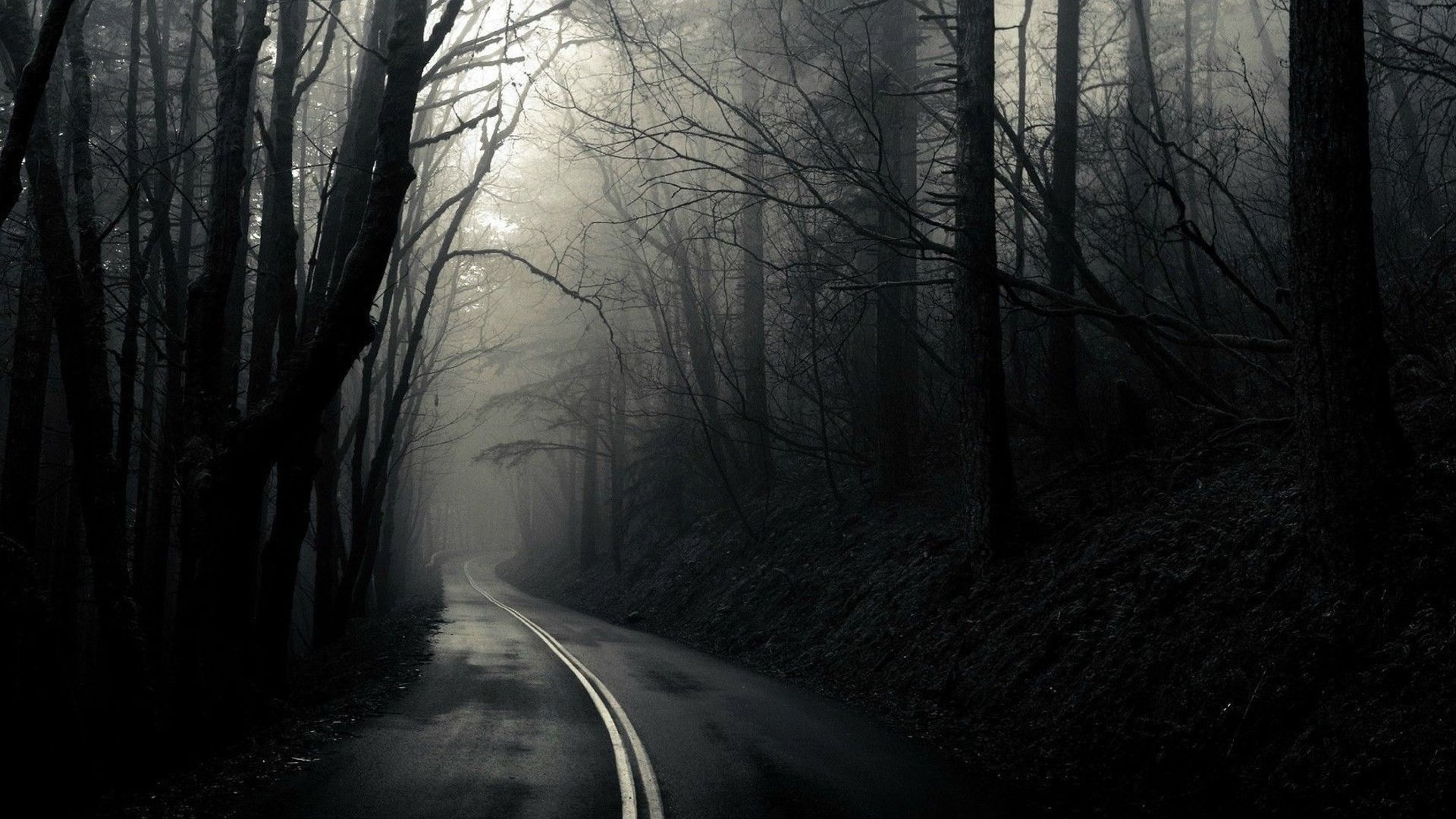 1920x1080 Road Through The Dark Woods