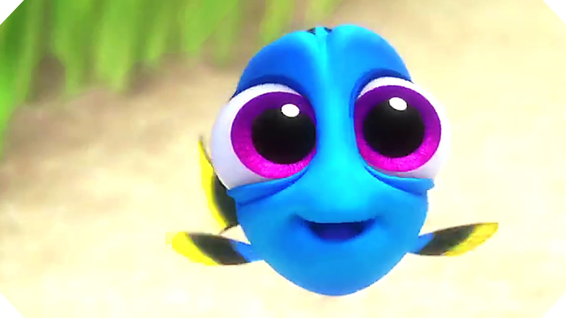 1920x1080 Disney Pixar's FINDING DORY - ALL the Movie Clips including BABY DORY !  (2016) - YouTube