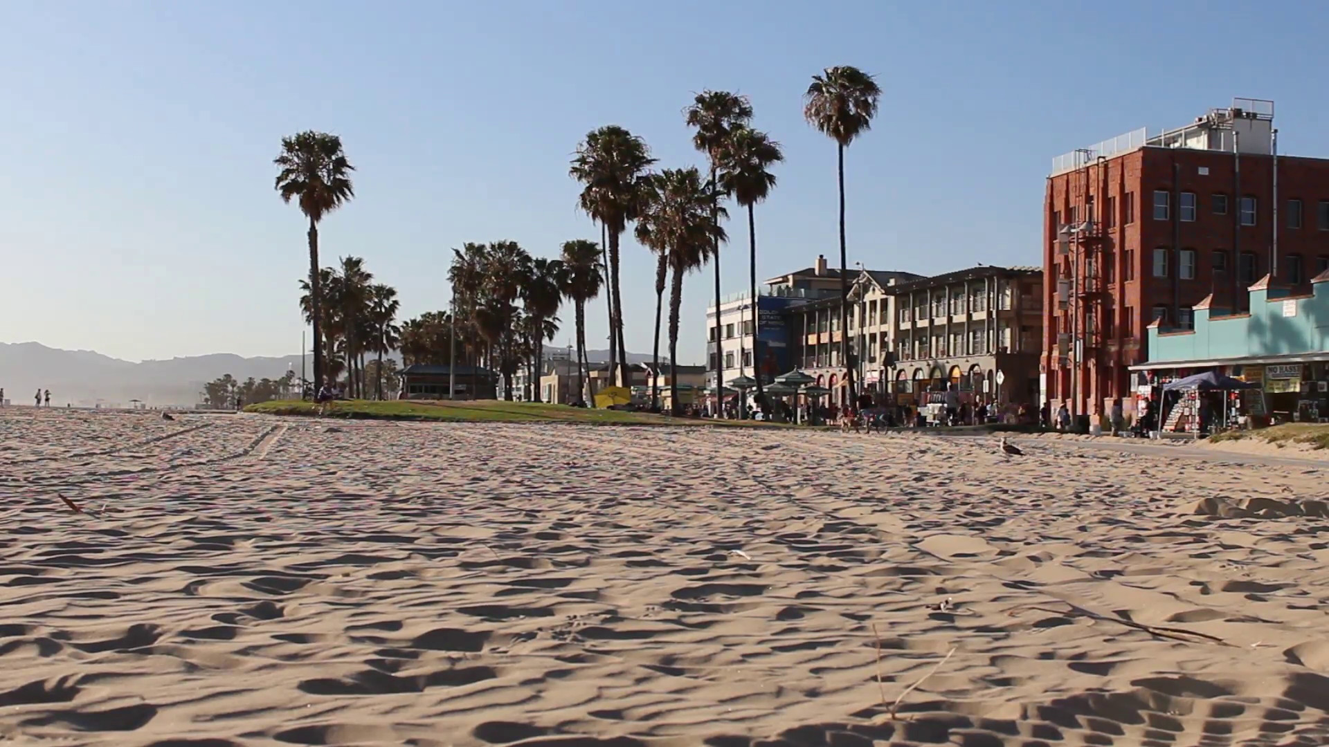 1920x1080 People jogging, biking, roller skating, and skateboarding on the Venice  Beach California Bike Path & Board Walk with Palm Trees and Mountains in  the ...
