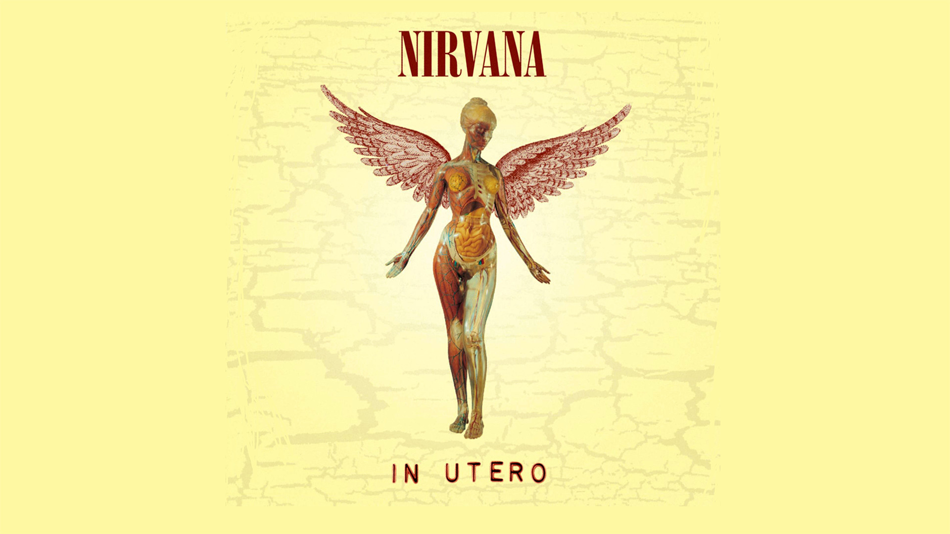 1920x1080 Music - Nirvana Angel Album Cover Woman Anatomy Wallpaper