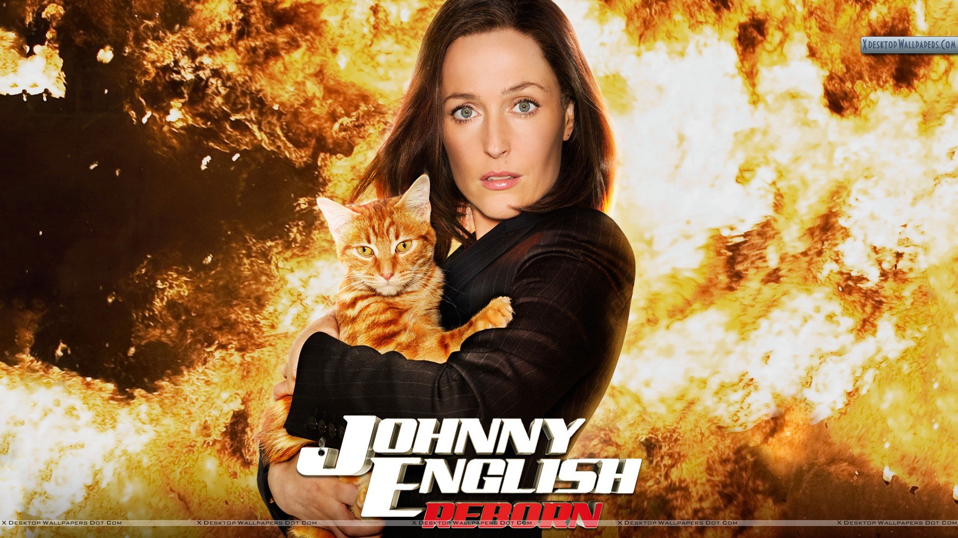 1920x1080 You are viewing wallpaper titled "Johnny English Reborn – Gillian Anderson  ...