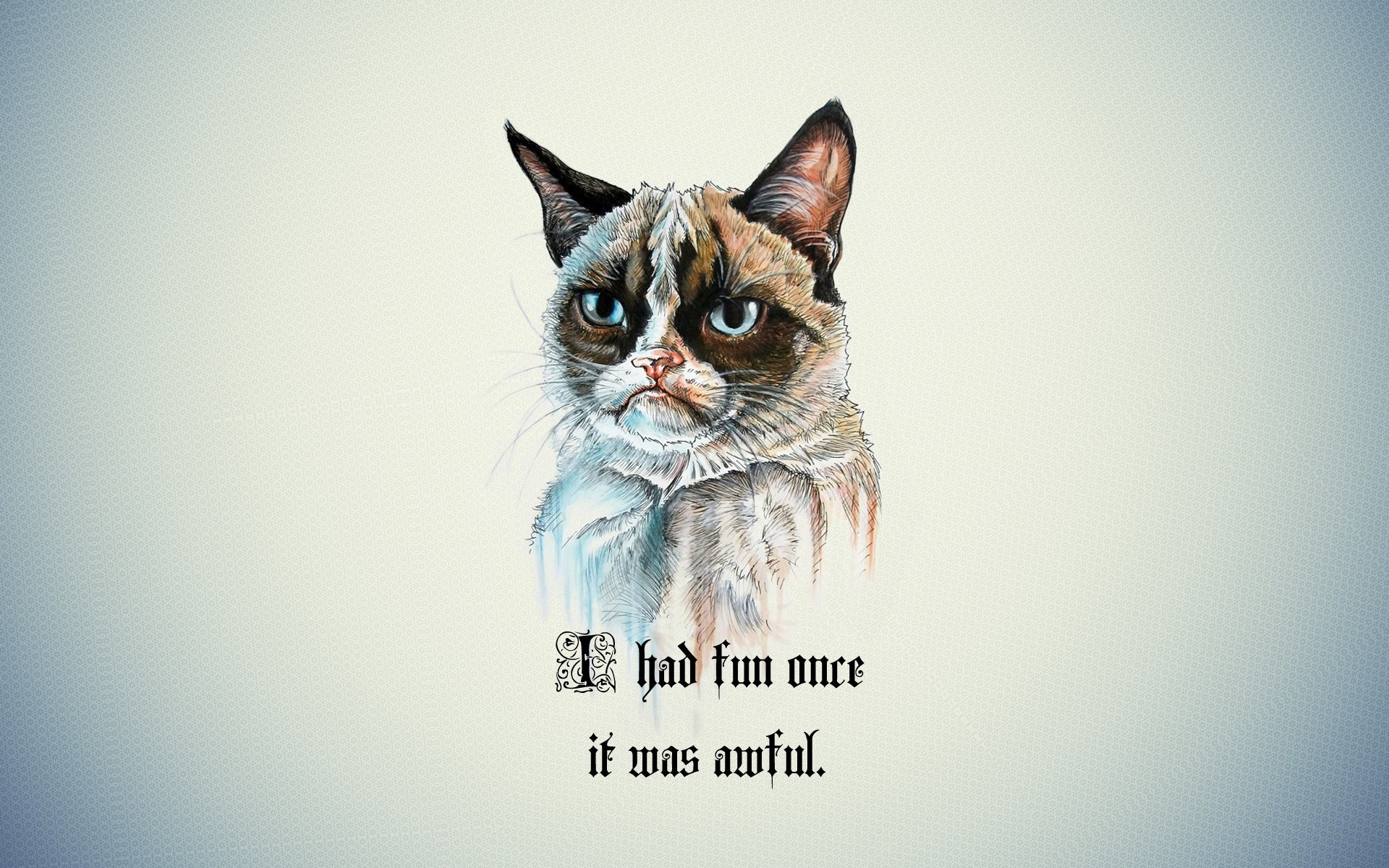 1920x1200 Splendid Grumpy Cat Quotes - Walldevil together with Iphone 6 Grumpy Cat  Wallpaper