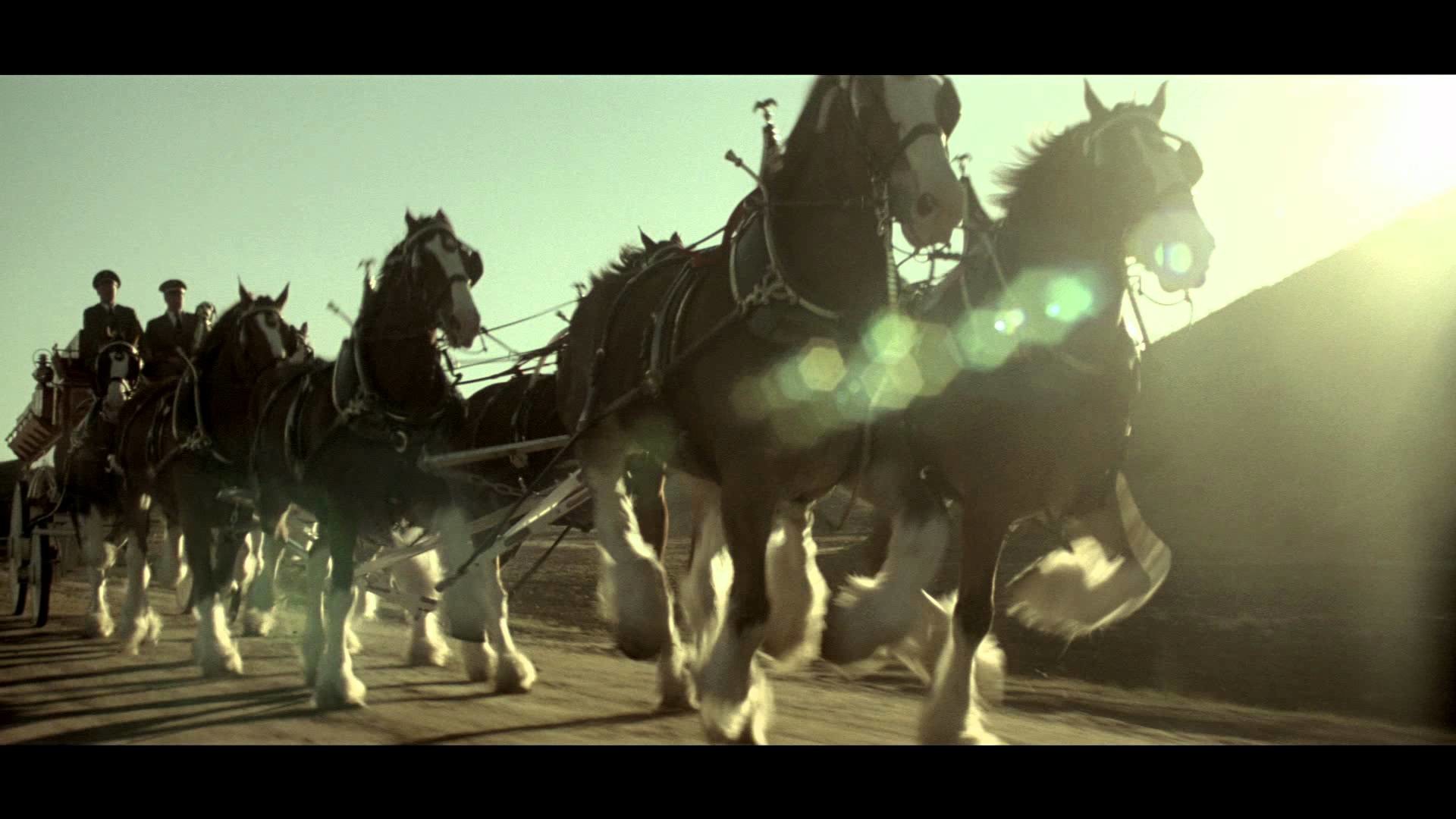 1920x1080 Budweiser Super Bowl 2012 Ad Return of the King Clydesdales Teaser - YouTube