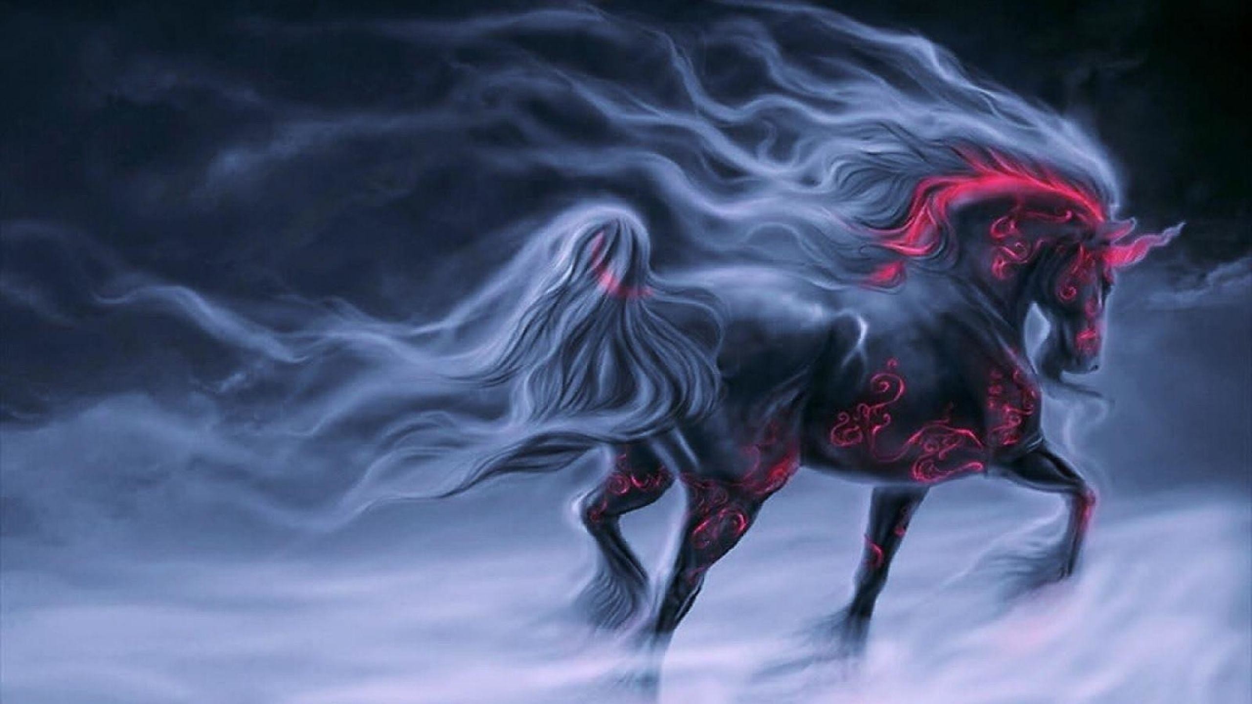 2560x1440 Fantasy Black Horse Unicorn Artwork #2807 Wallpaper | SpotIMG