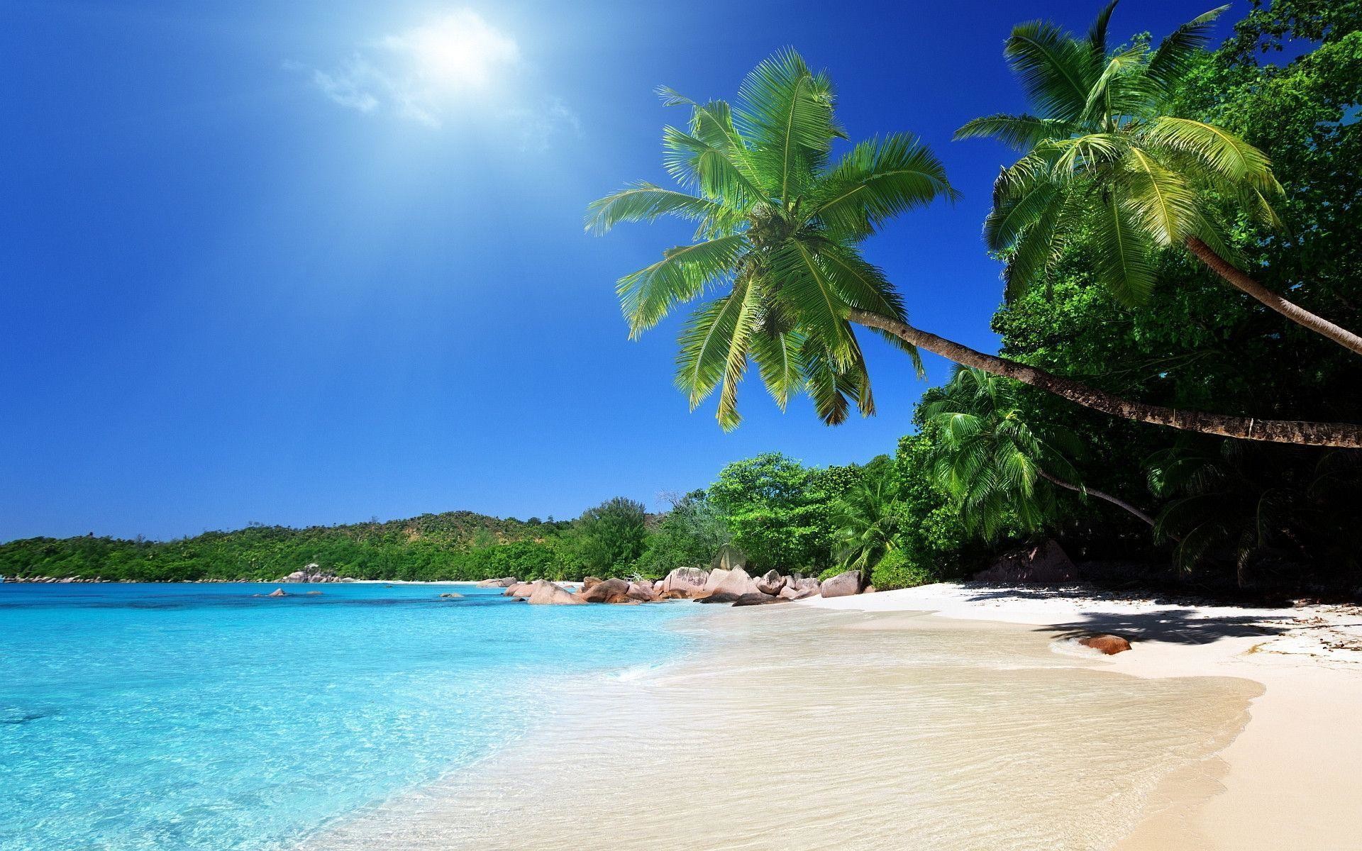 1920x1200 Tropical caribbean beach Wallpapers | Pictures