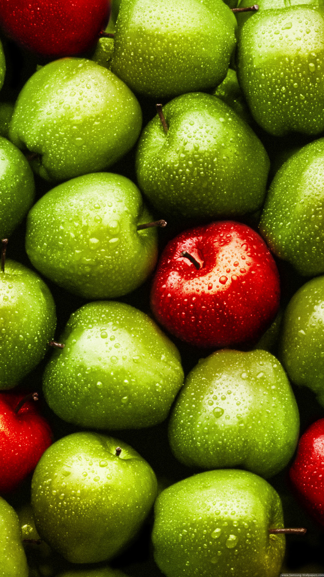 1080x1920 Download Green Red Apples iPhone 6 Plus HD Wallpaper
