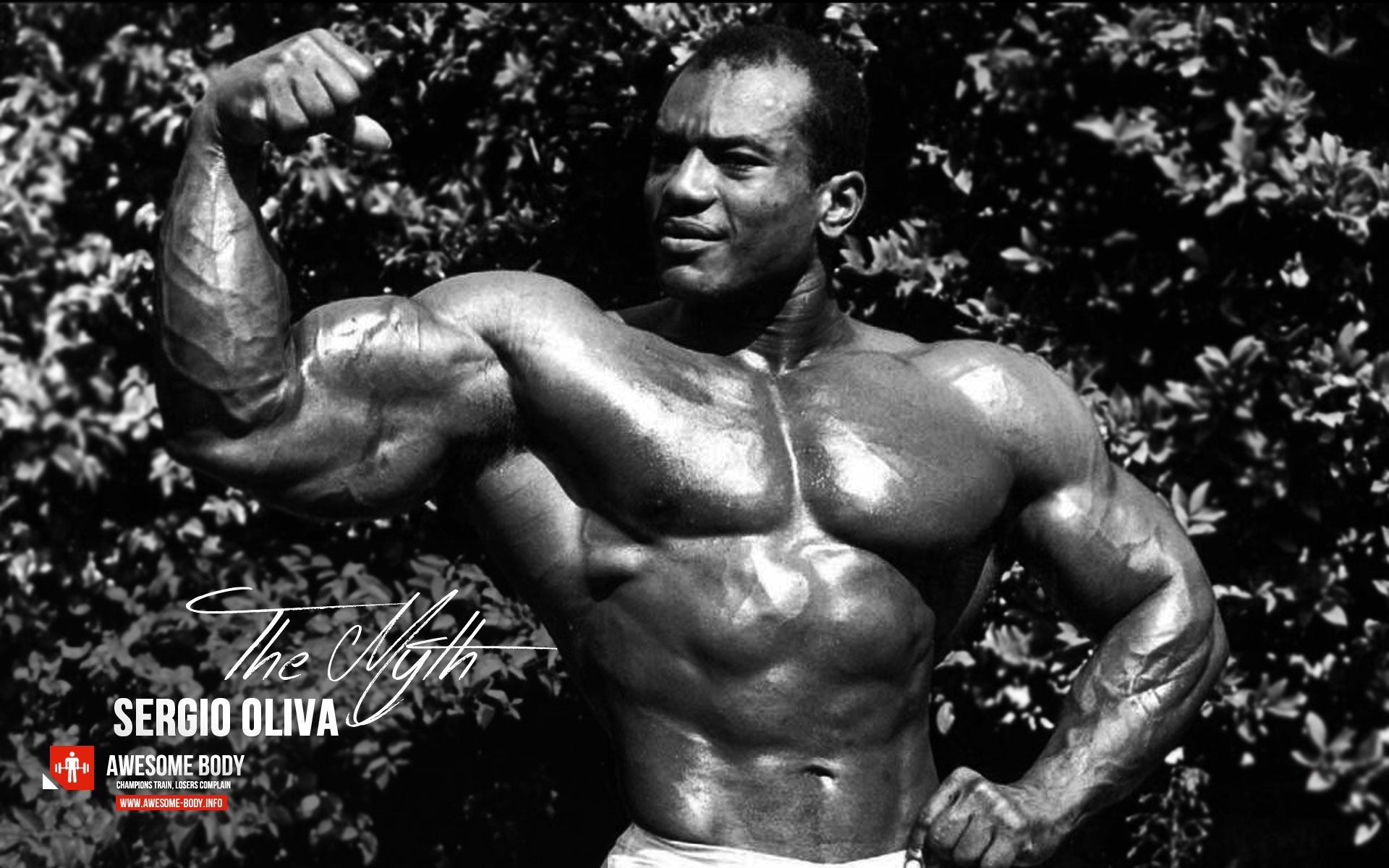 1920x1200 Sergio Oliva | Mr. Olympia | Wallpapers - Awesome Body