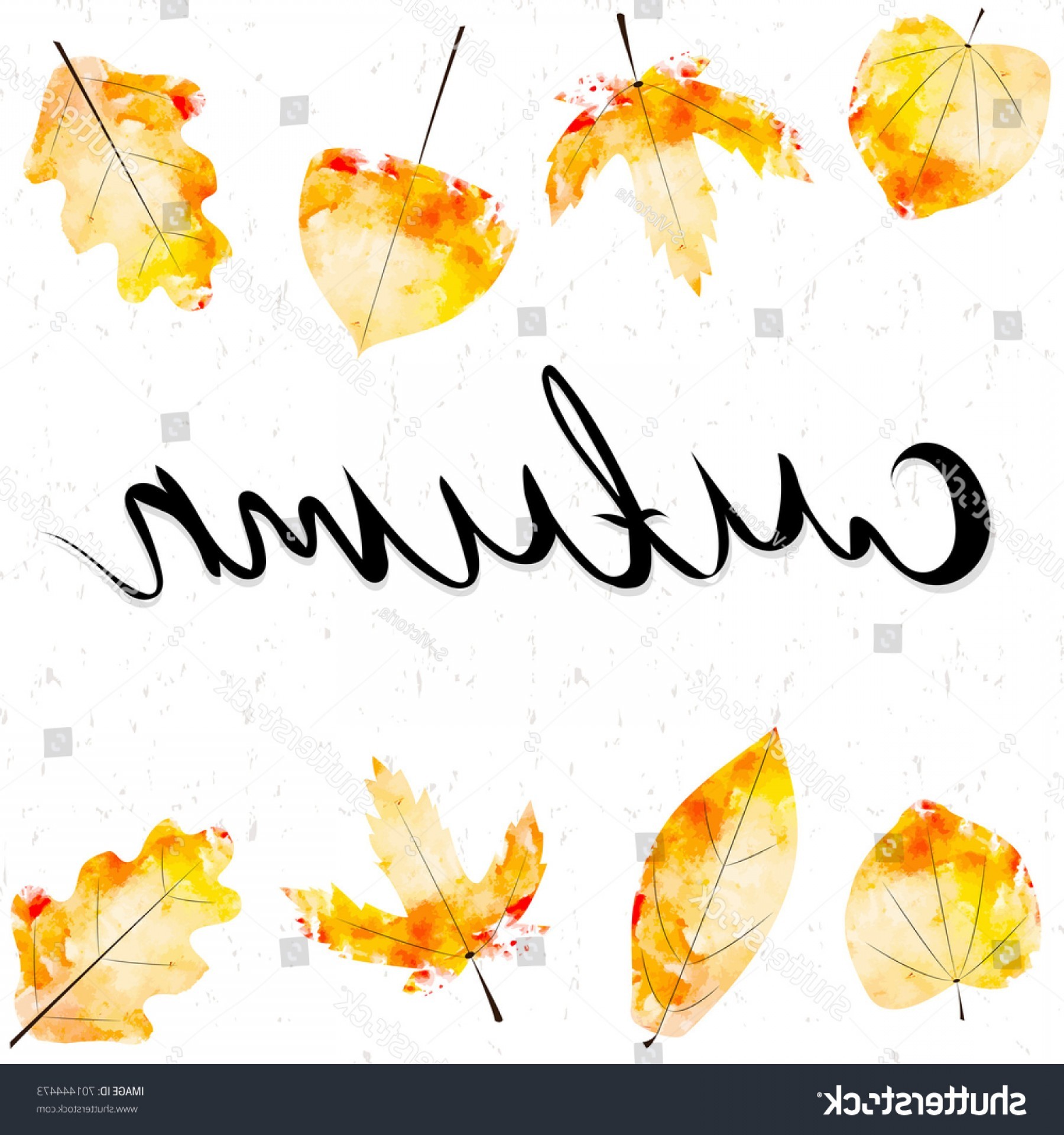 1800x1920 Fall Leaves Background Vector: Autumn Season Background Lettering  Watercolor Fall