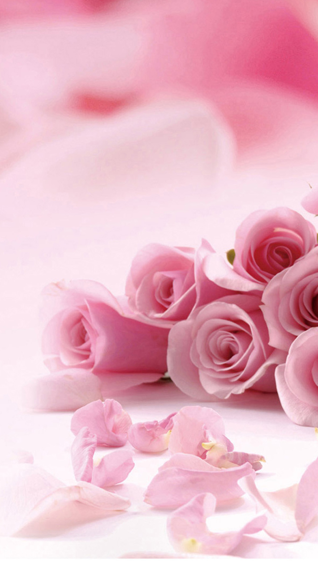 1080x1920 Pink roses iPhone 5 wallpapers, Background and Themes