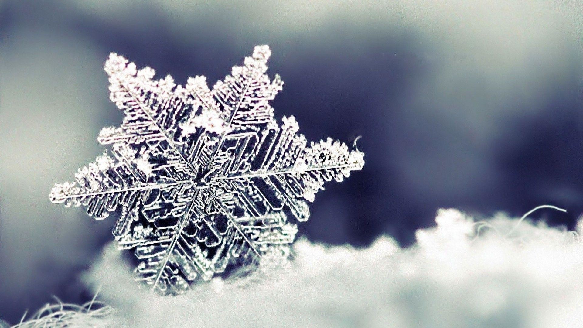1920x1080 Snowflake Wallpaper Hd Images 3 HD Wallpapers | Hdimges.