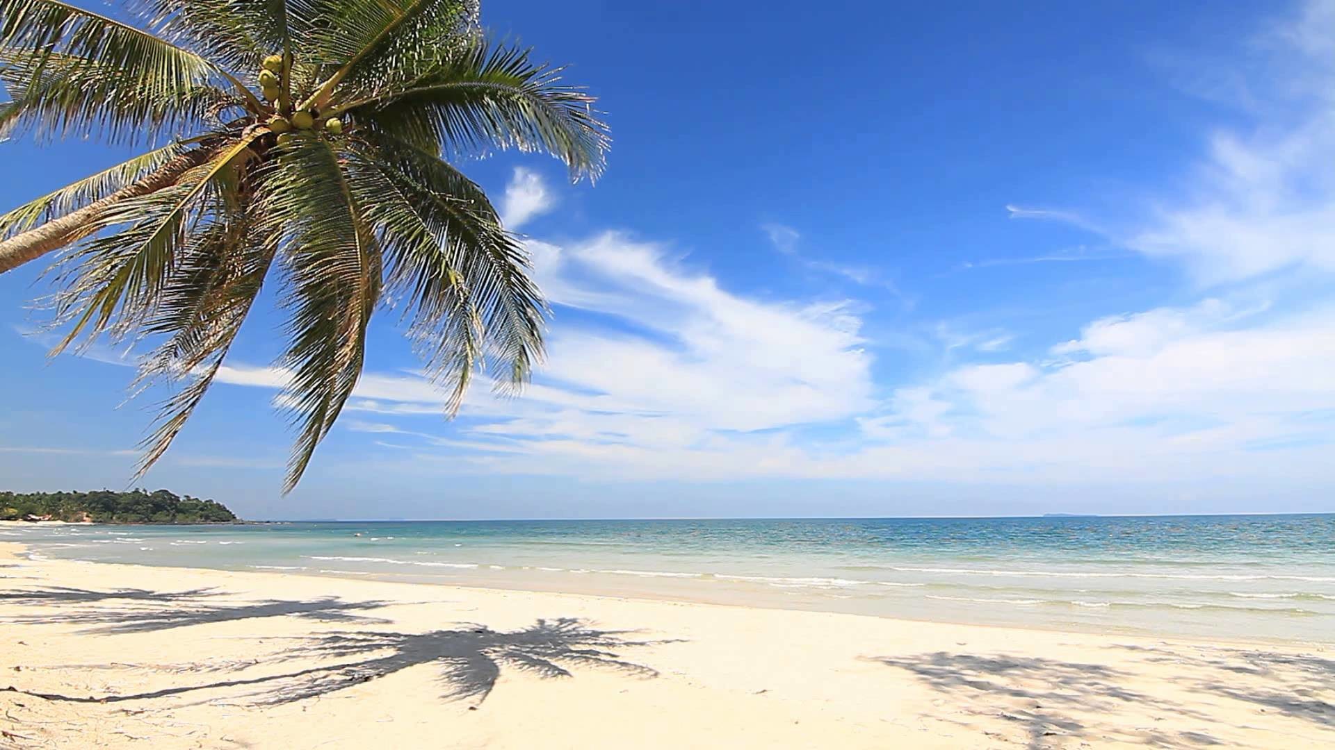 Остров обои айфон. Пляж футаж. Панорама острова пальмы песок пляж. Футаж море пляж. Красивые пейзажи с моря с островом с белым песком.
