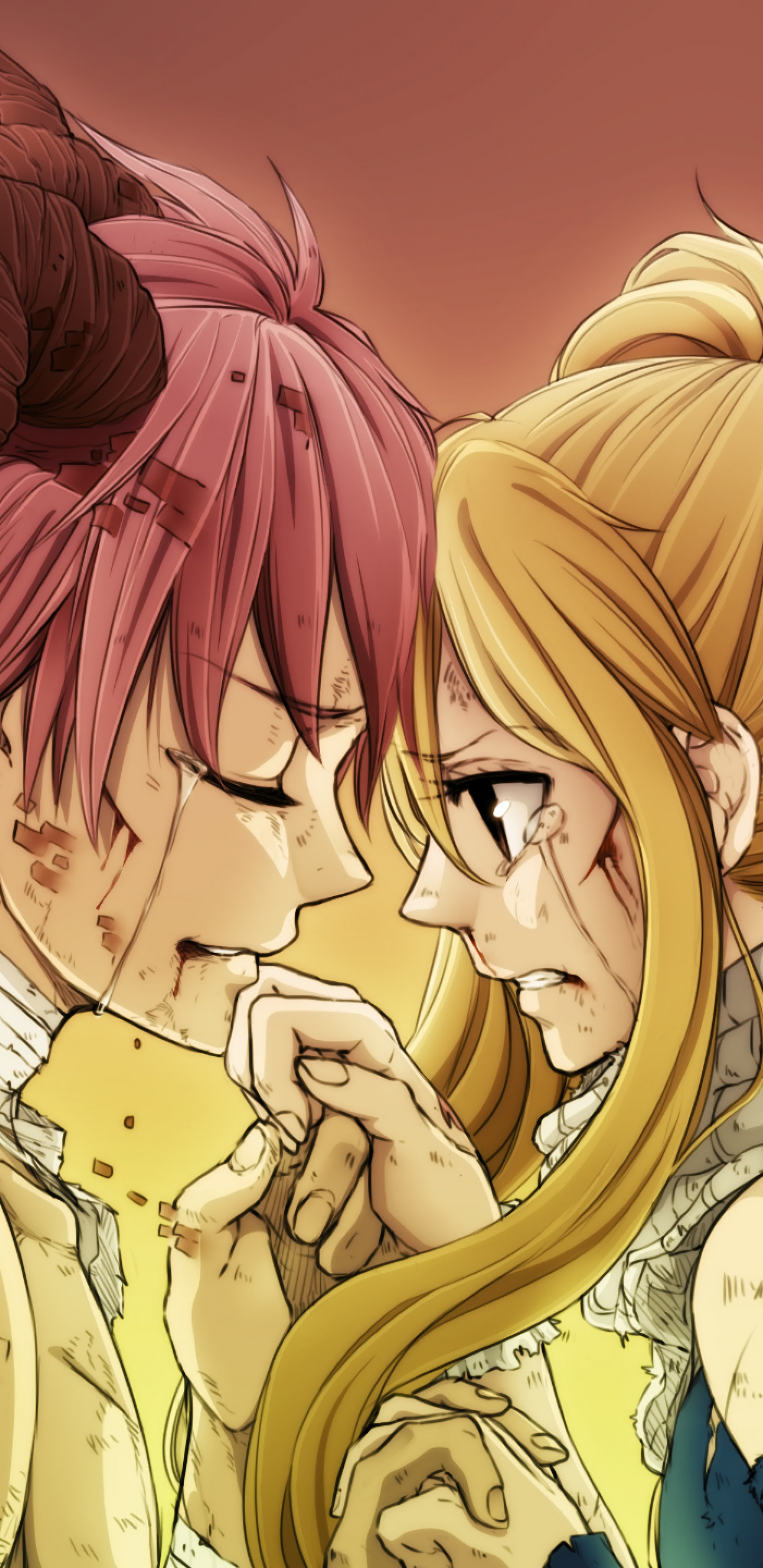 1440x2960 Natsu X Lucy, Fairy Tail, Tears, Scarf, After Fight