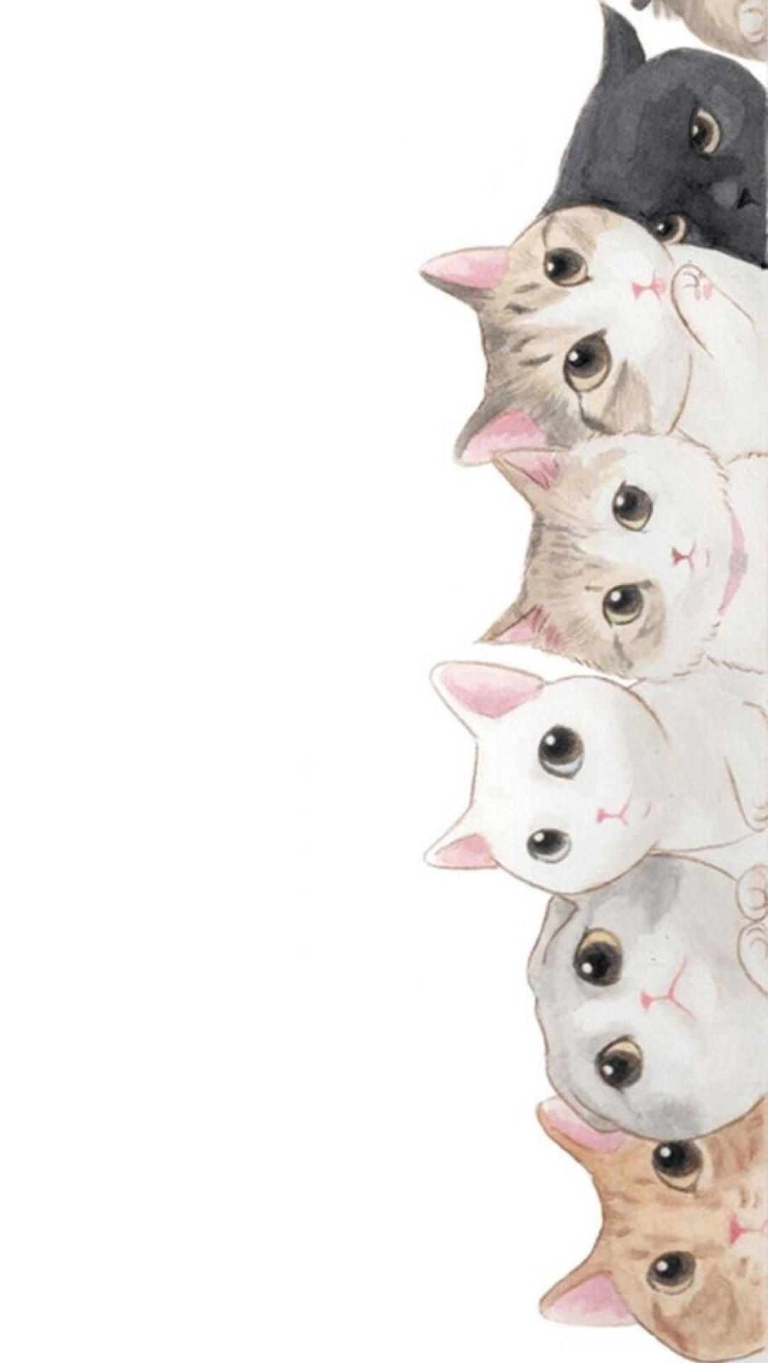 1082x1920 • cat iphone wallpaper iOS iPhone Wallpaper cat wallpaper cute wallpaper  ios wallpaper wallpaper-iphone •