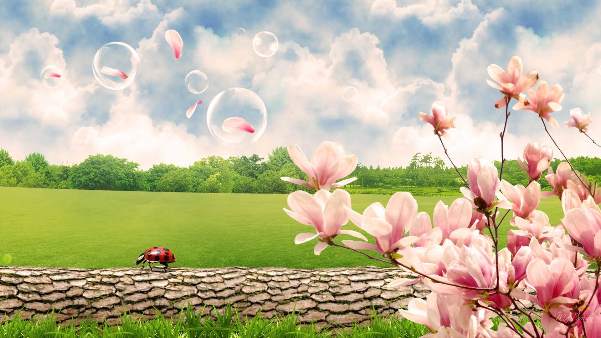 1920x1080  Images For > Spring Scenes Wallpaper