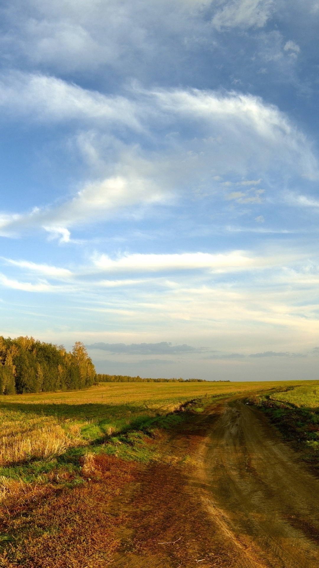 1080x1920 Preview wallpaper road, field, sky, clouds, blue, country, open spaces