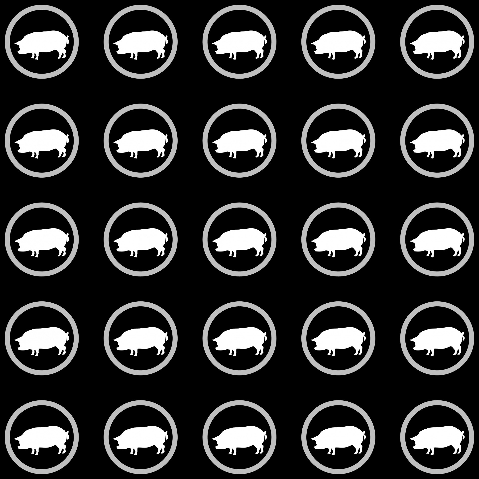 1920x1920 Pig Wallpaper Background