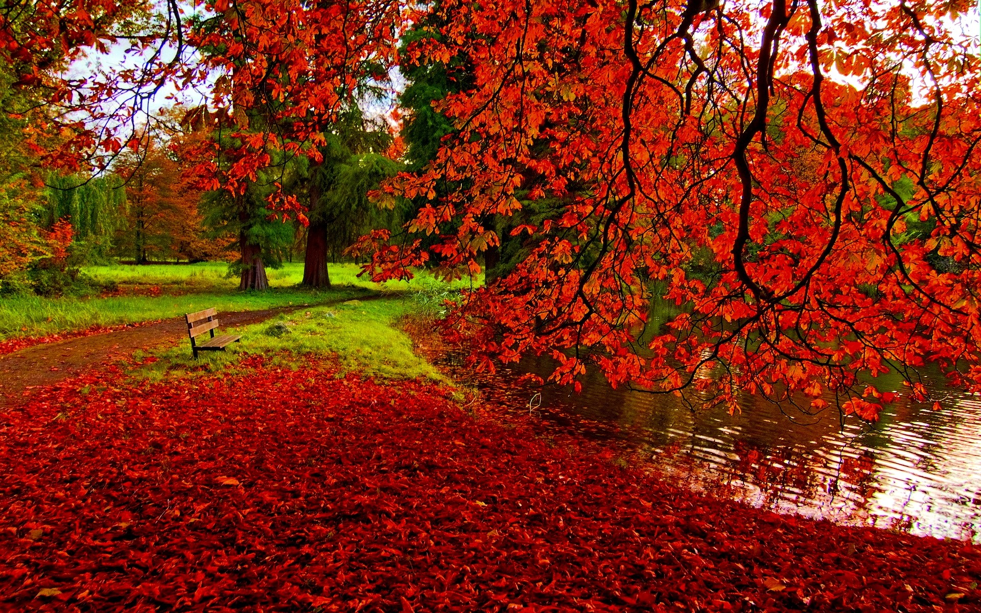1920x1200 Red Fall Leaves Wallpapers For Iphone