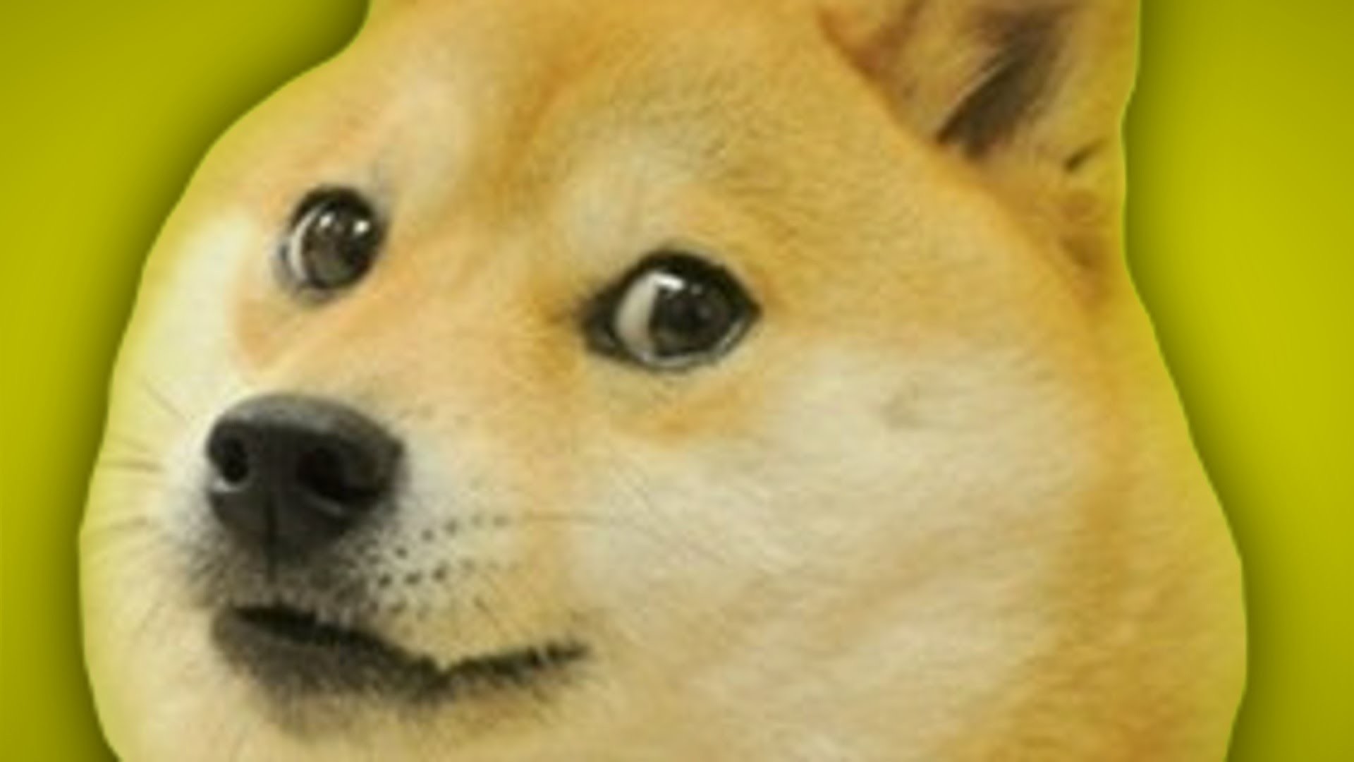 Doge game