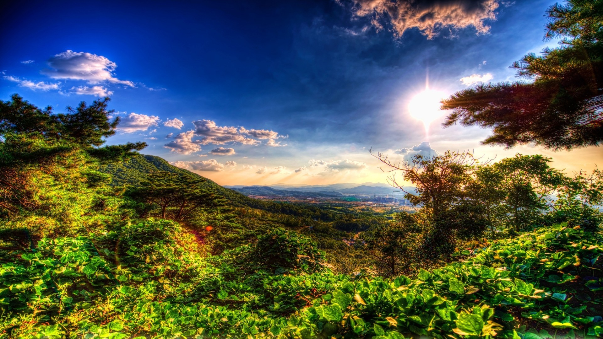1920x1080 Landscapes nature forests distance valleys hdr photography wallpaper