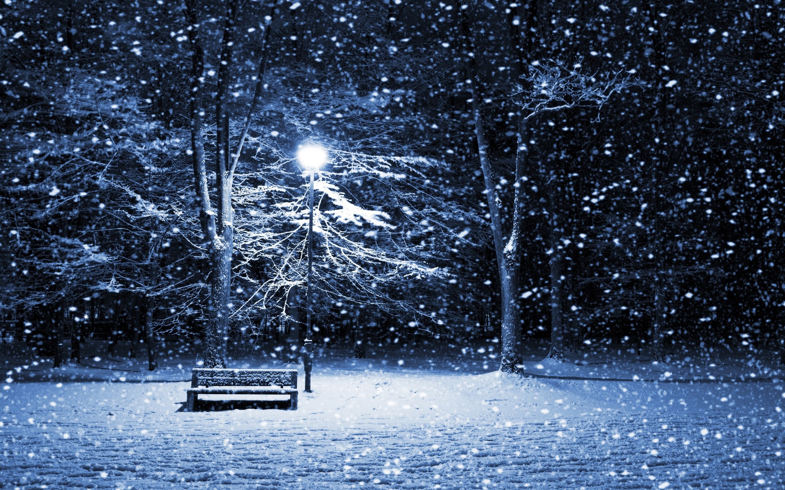 2560x1600 Winter-Scenes-Wallpaper-Free